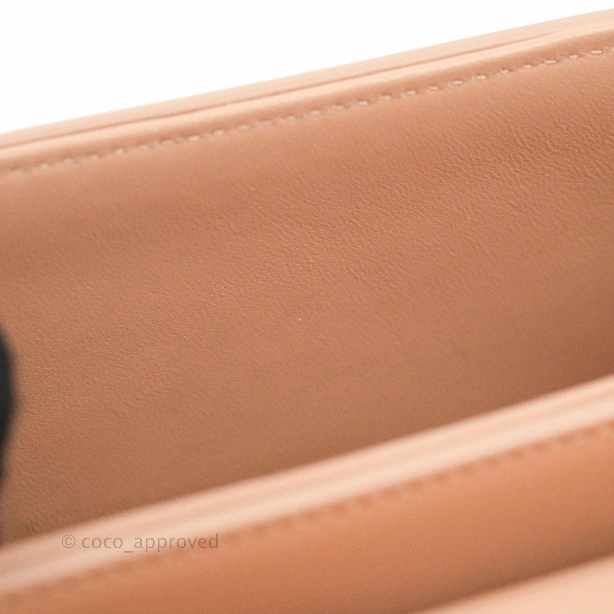Christian Dior 30 Montaigne Box Bag Rose Des Vents Calfskin