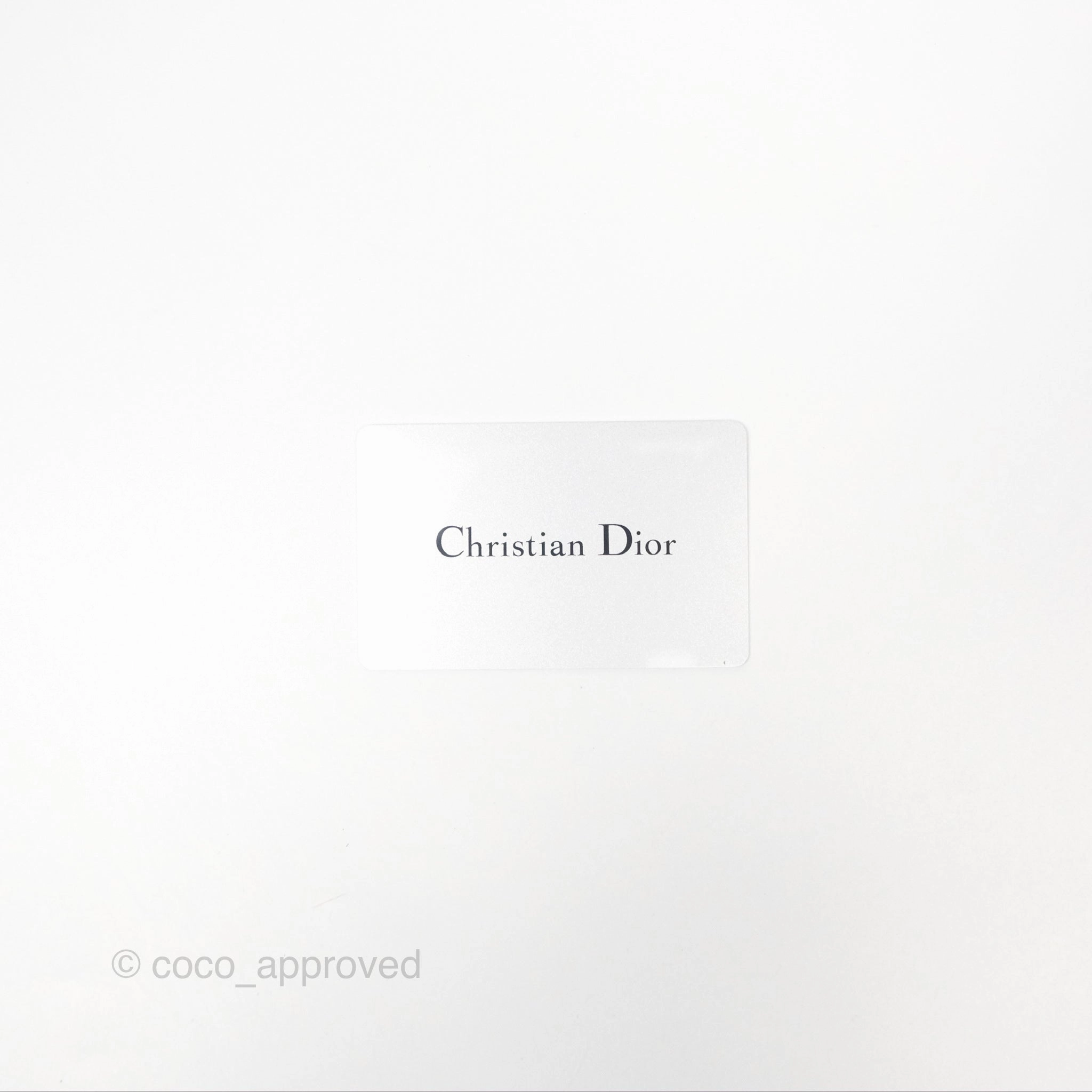 Christian Dior 30 Montaigne with Chain Blue Dior Oblique Jacquard