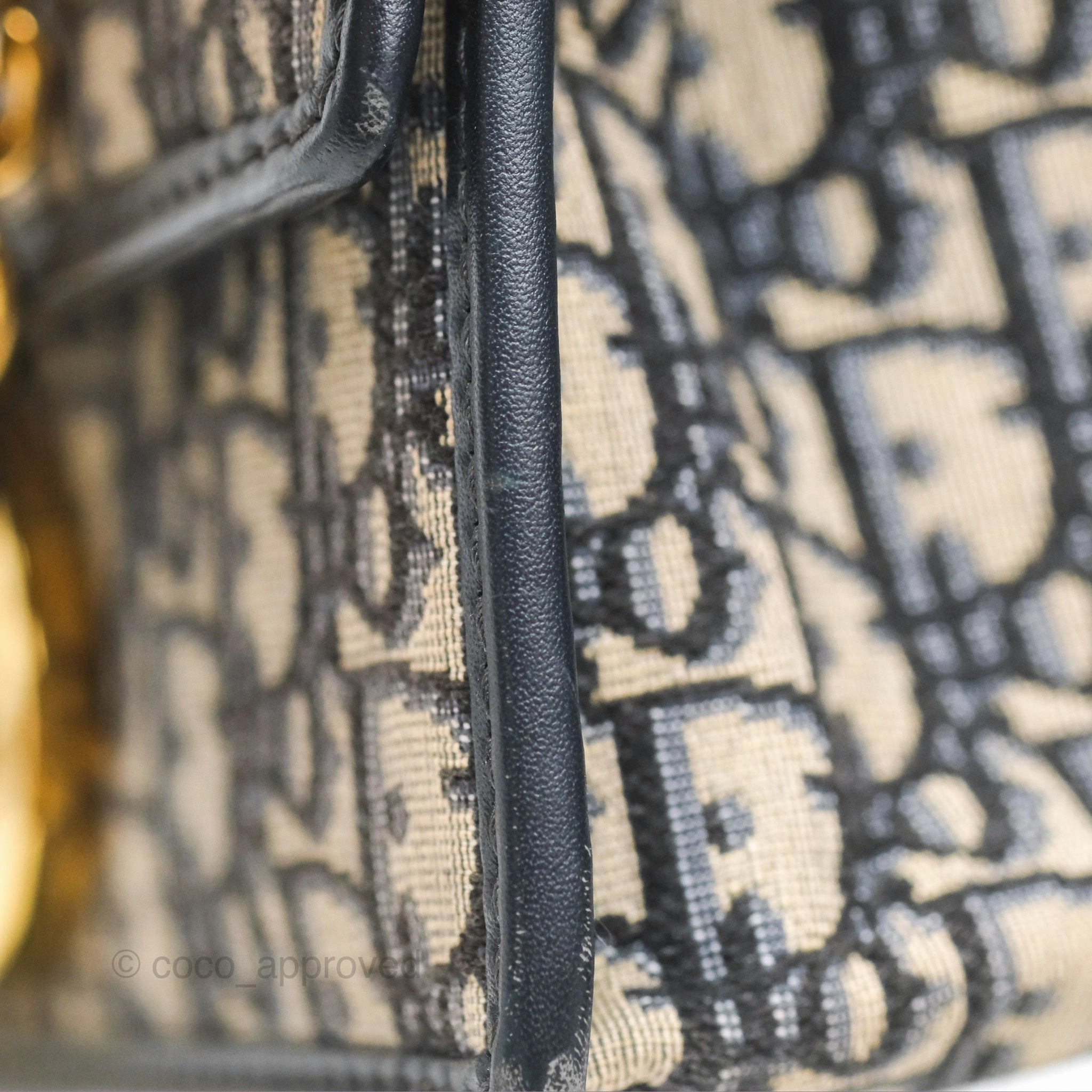 Christian Dior 30 Montaigne with Chain Blue Dior Oblique Jacquard