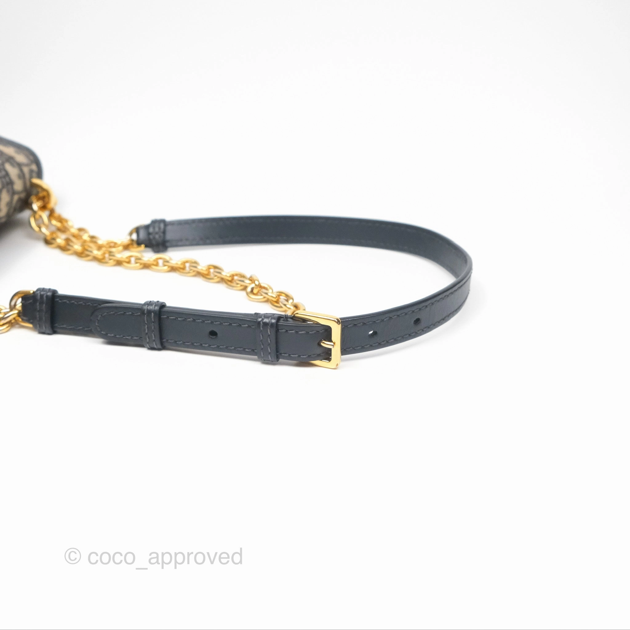 Christian Dior 30 Montaigne with Chain Blue Dior Oblique Jacquard