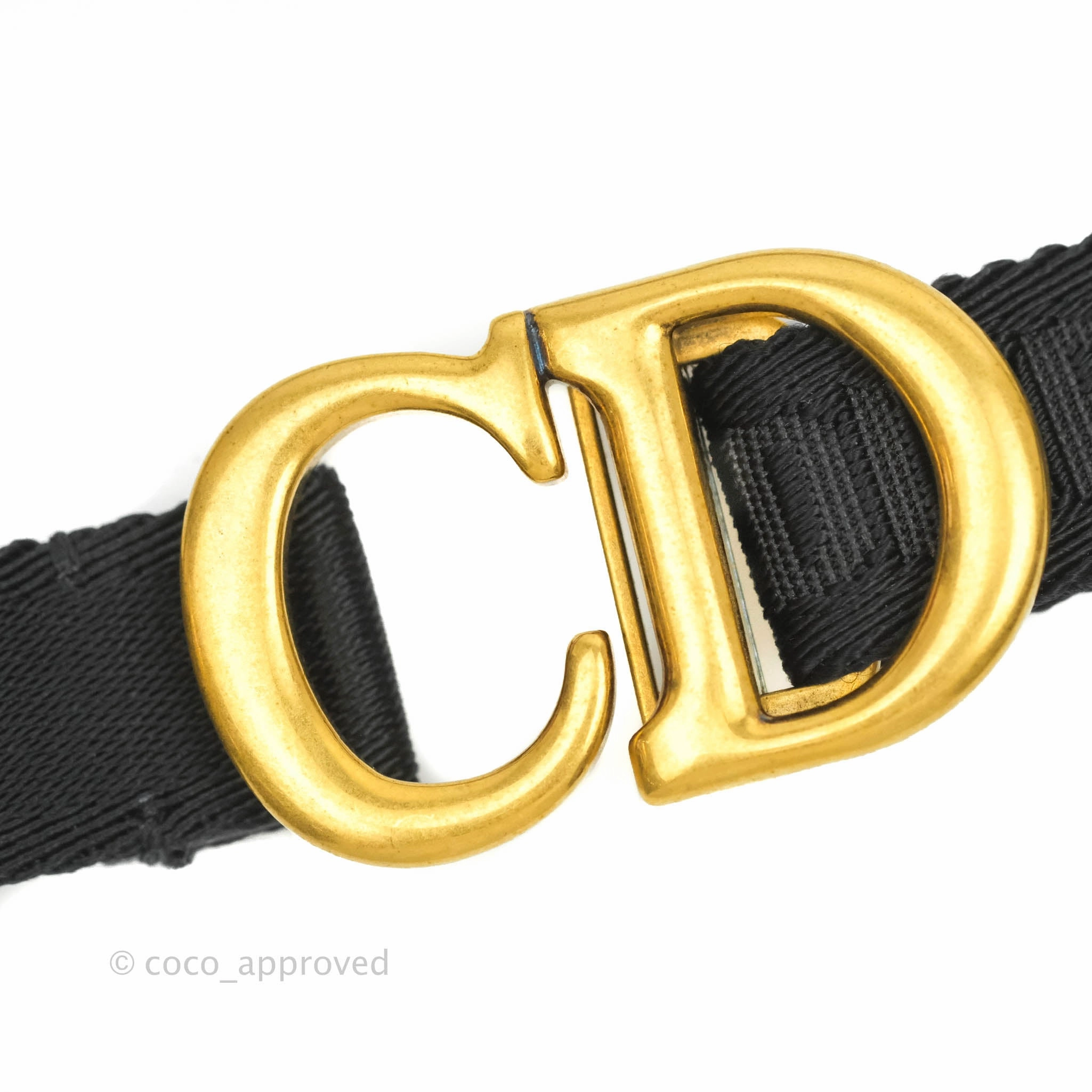 Christian Dior Blue Oblique Jacquard Saddle Belt Bag
