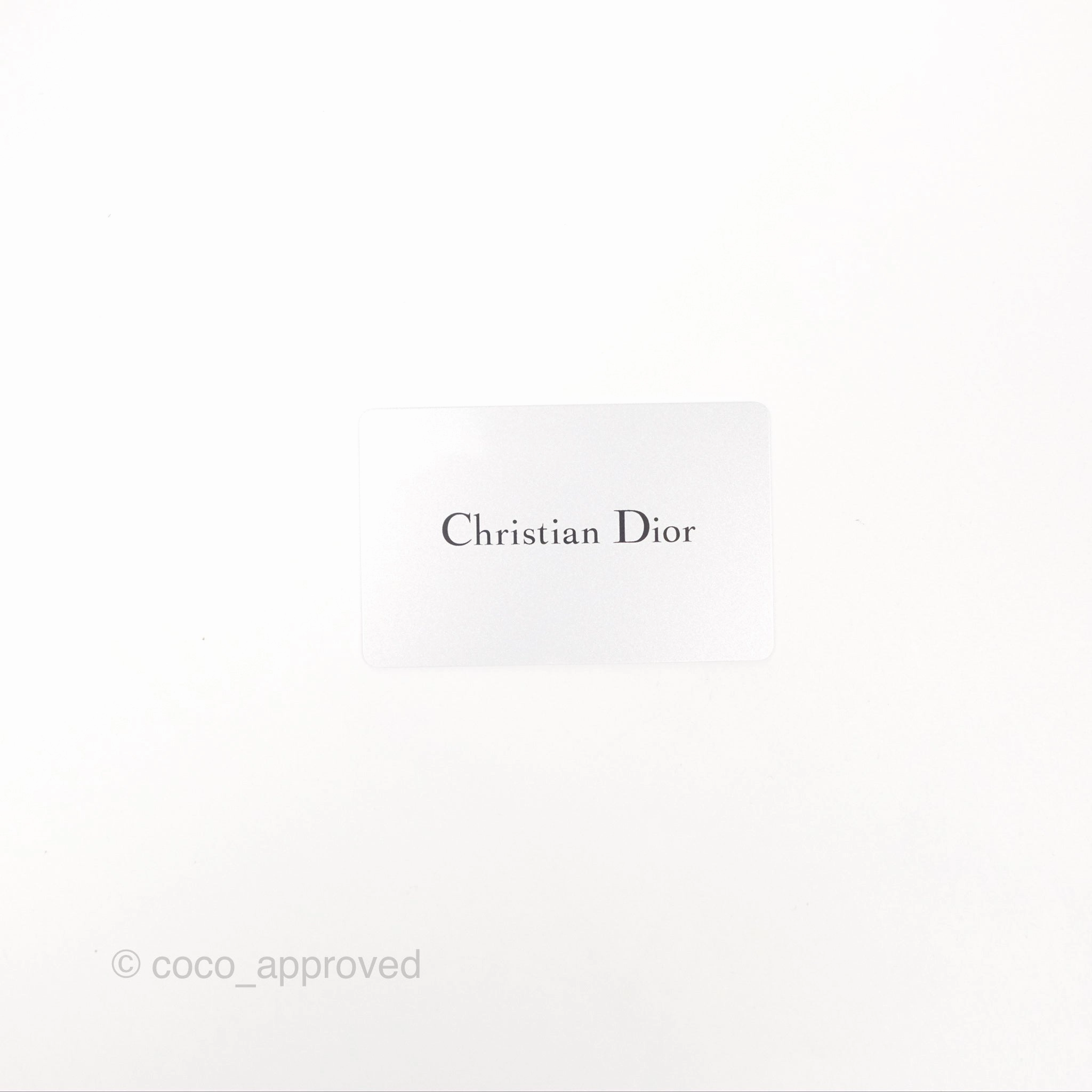 Christian Dior Cannage Mini Lady Dior White Gold Hardware