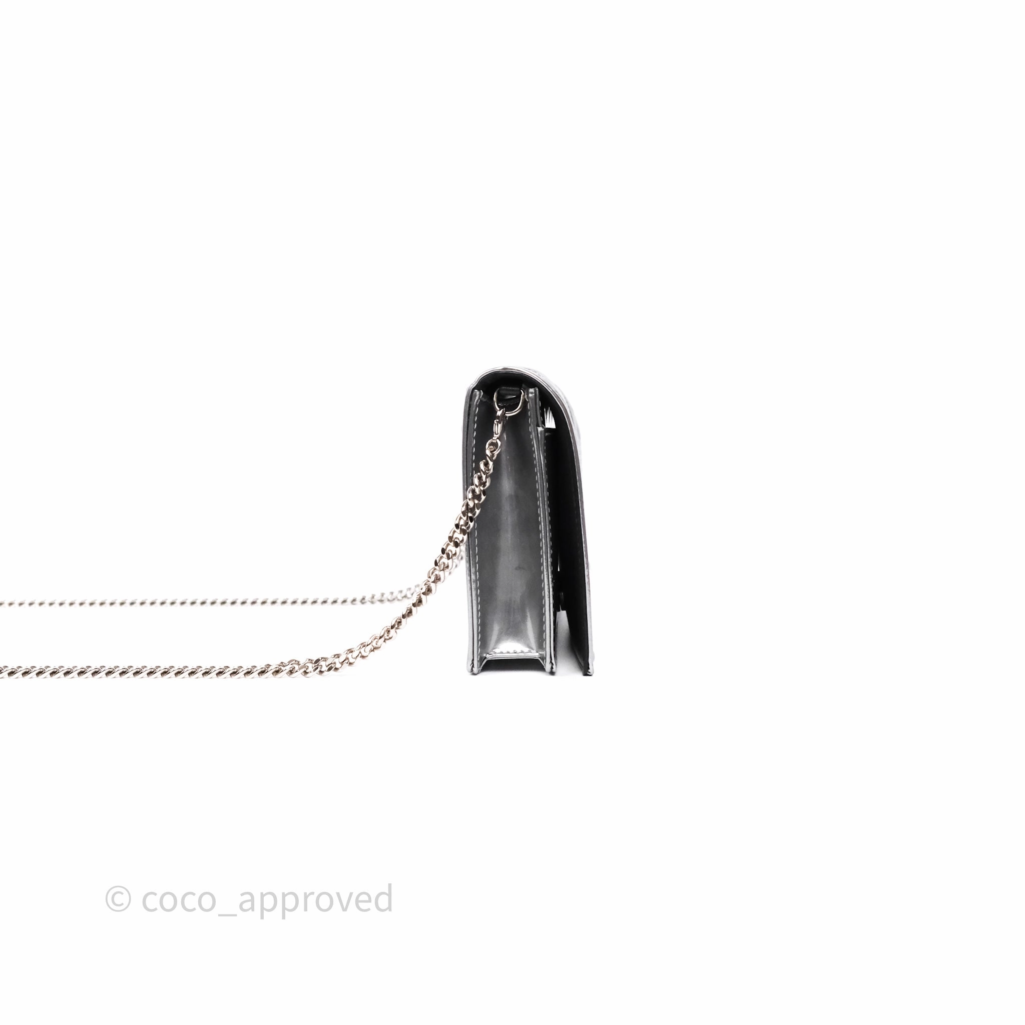 Christian Dior Diorama Wallet on Chain Metallic Silver