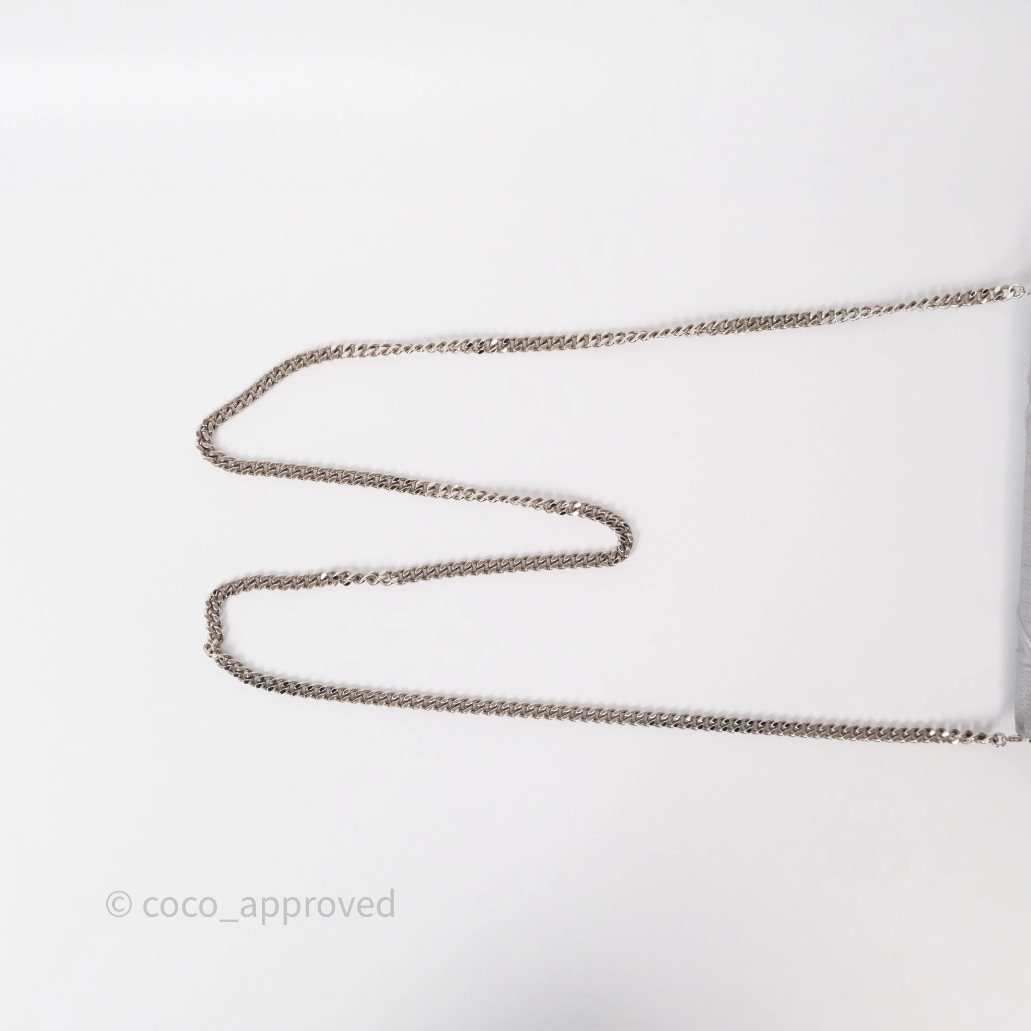 Christian Dior Diorama Wallet on Chain Metallic Silver