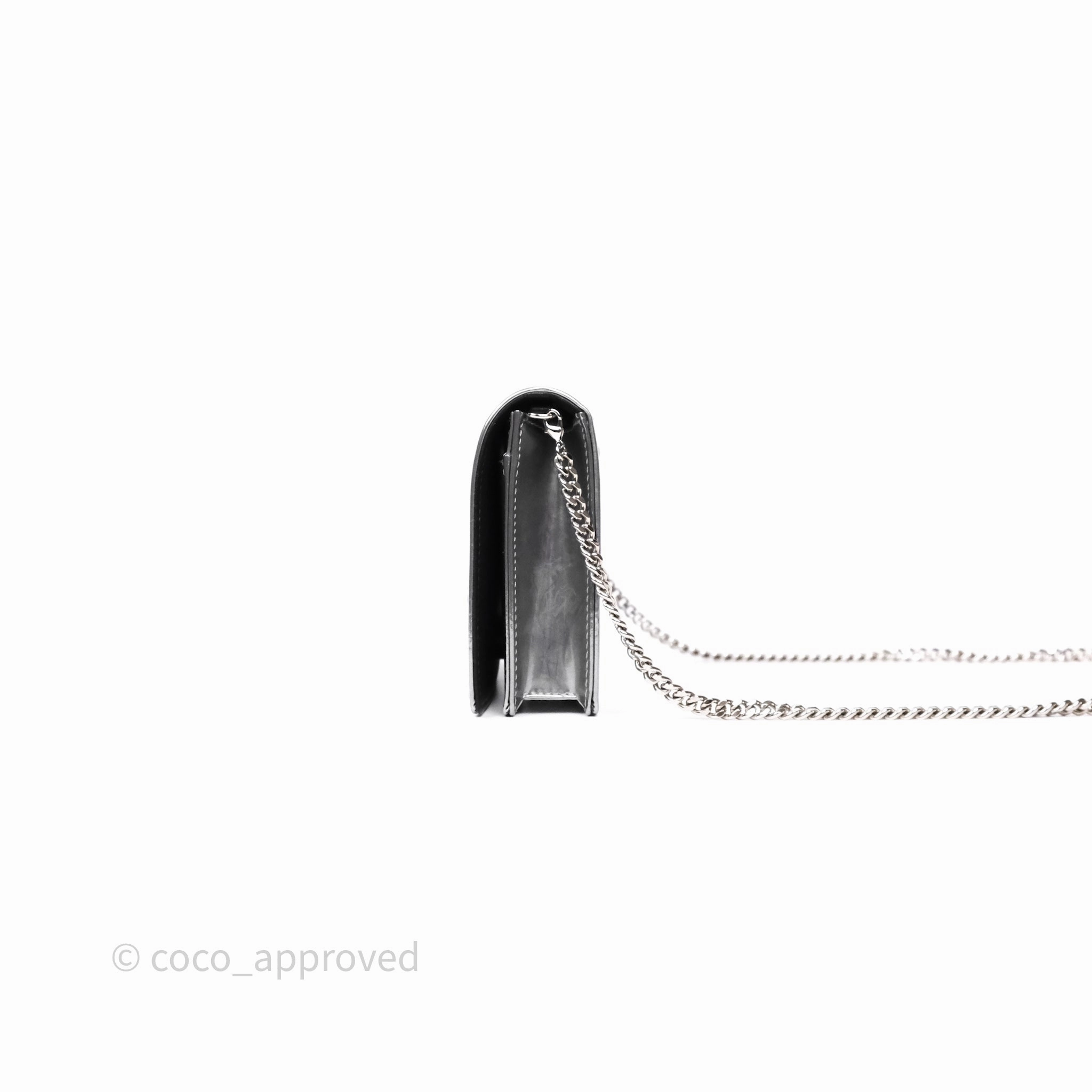Christian Dior Diorama Wallet on Chain Metallic Silver