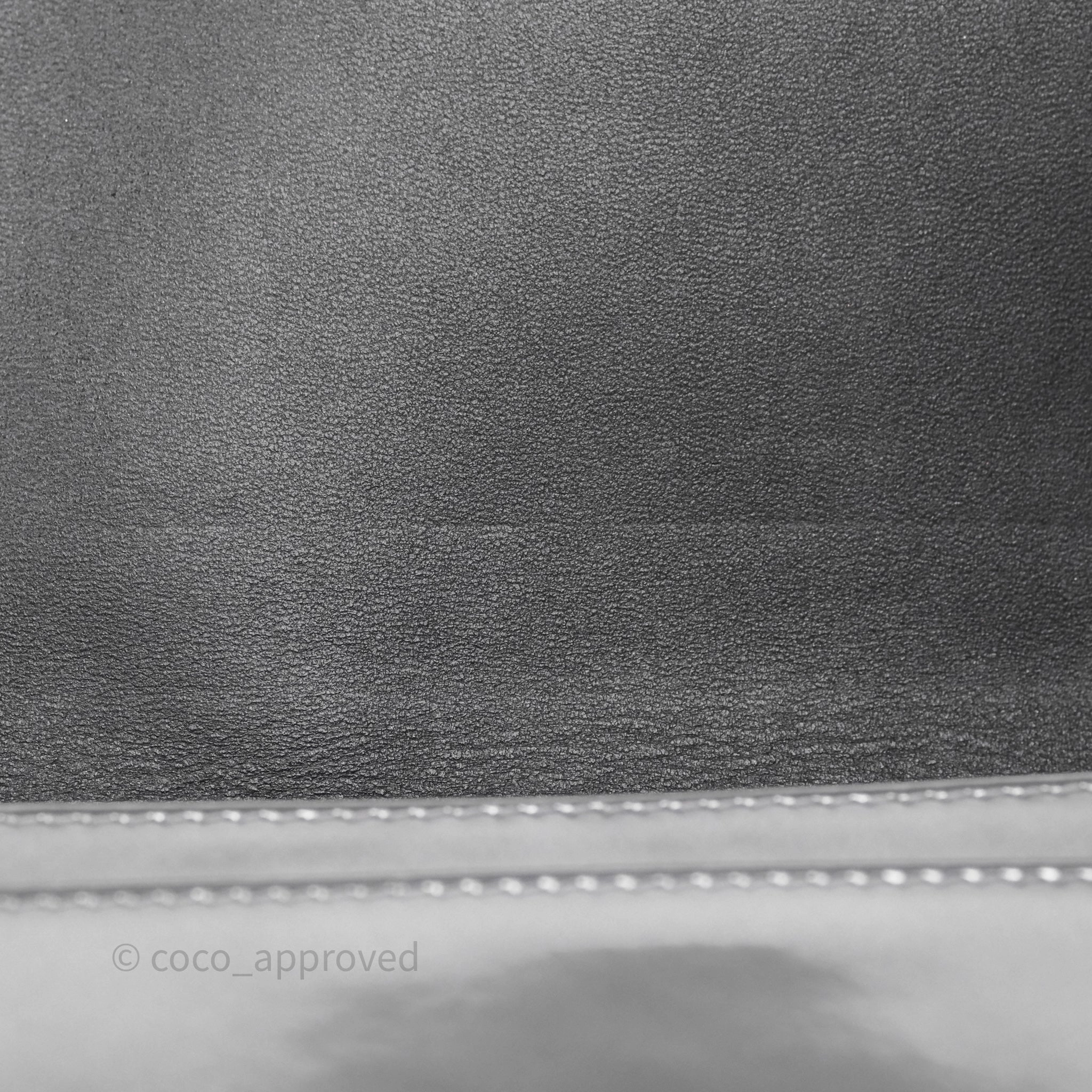 Christian Dior Diorama Wallet on Chain Metallic Silver