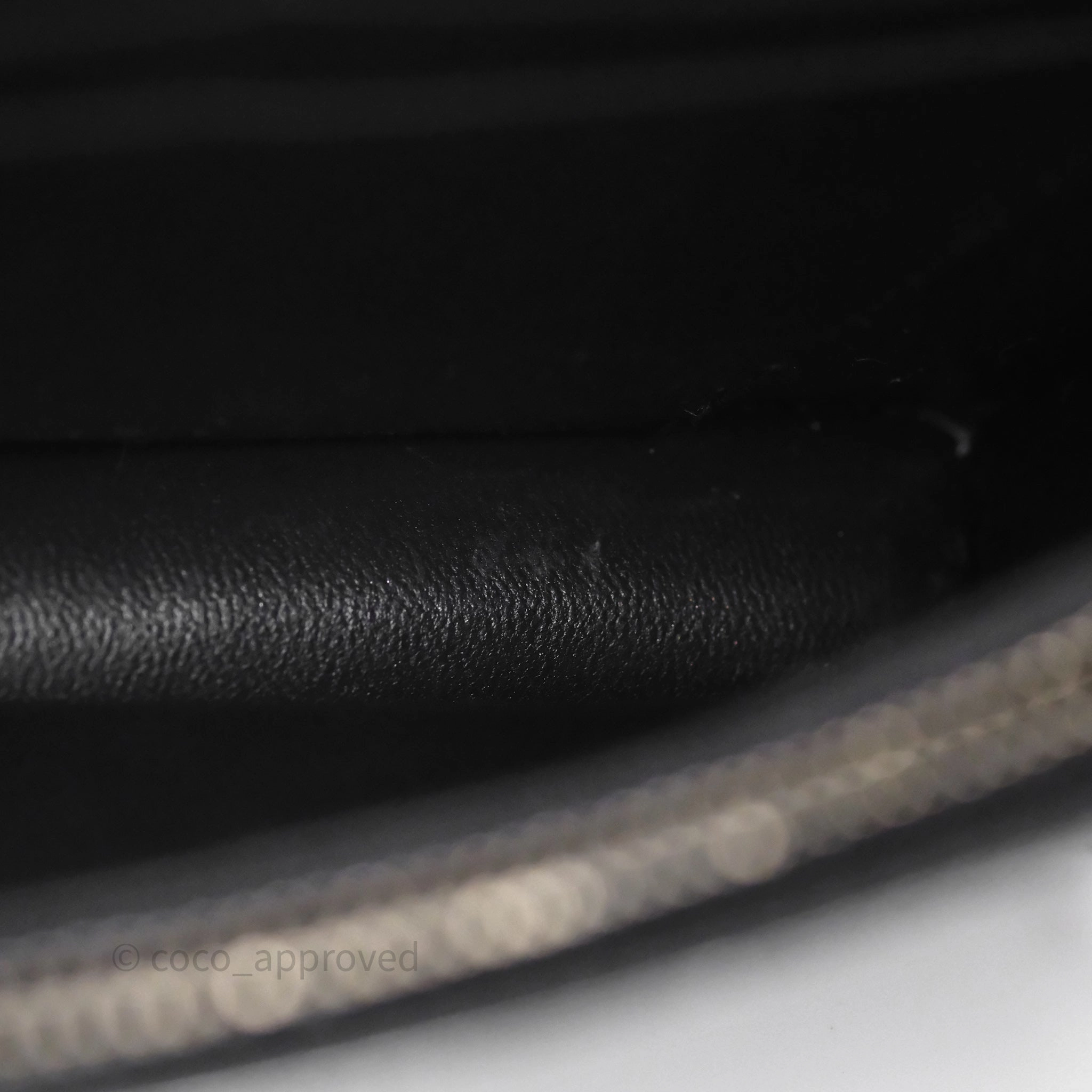 Christian Dior Diorama Wallet on Chain Metallic Silver