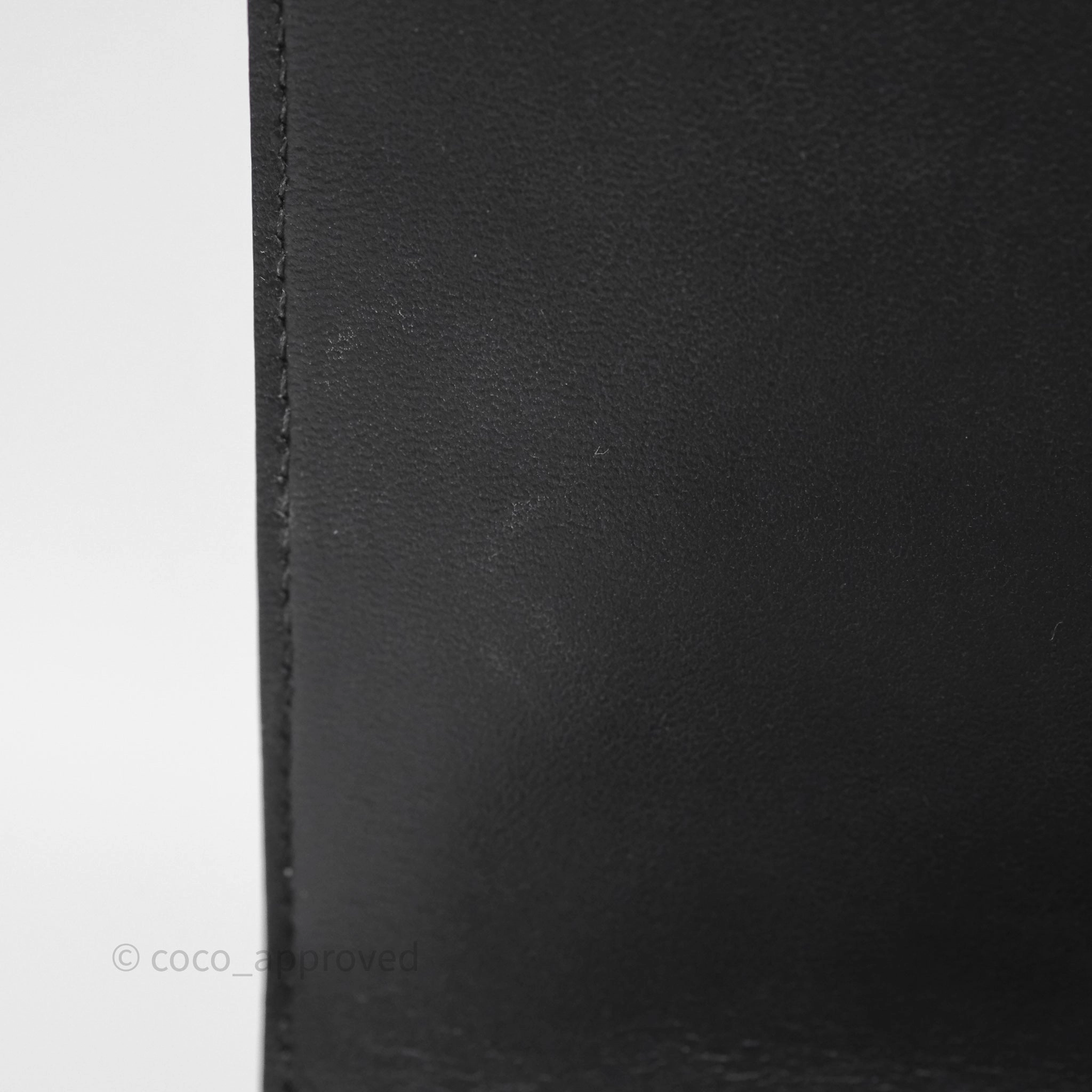 Christian Dior Diorama Wallet on Chain Metallic Silver