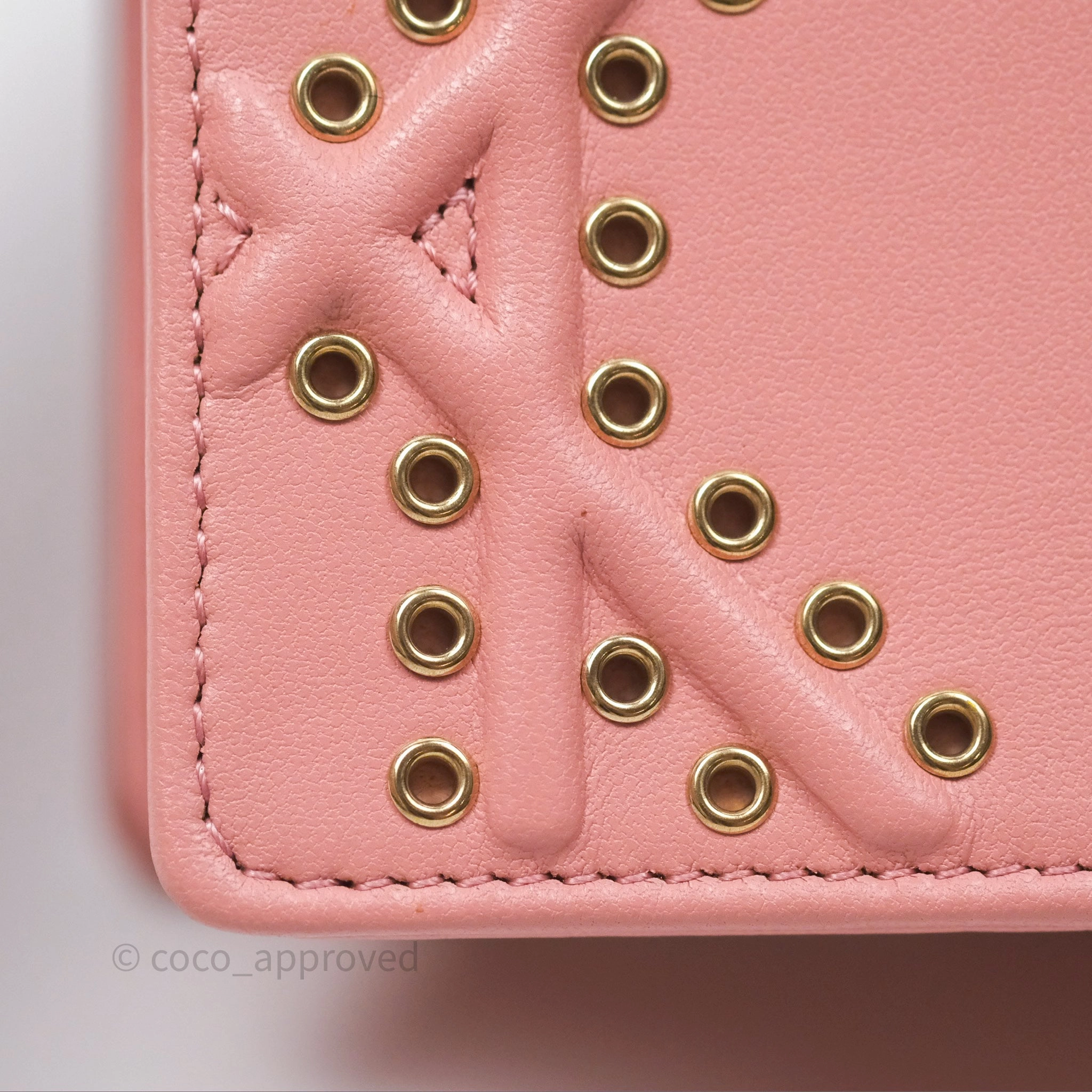 Christian Dior Lambskin Studded Vertical Diorama Dust Candy