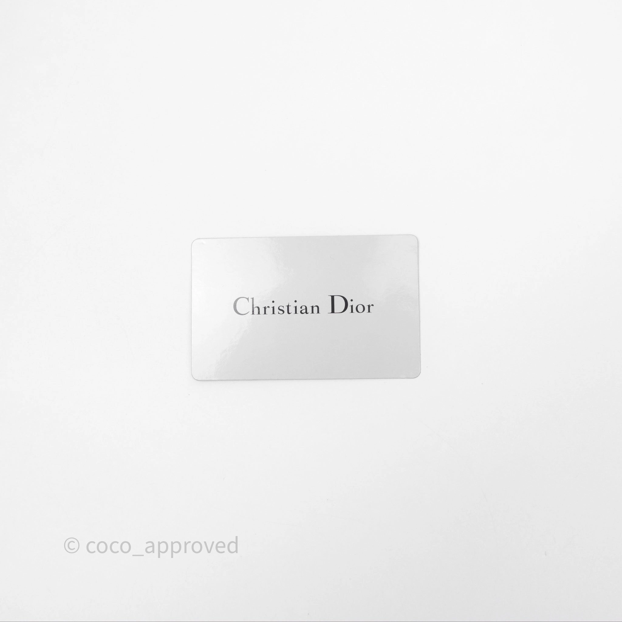 Christian Dior Lambskin Studded Vertical Diorama Dust Candy