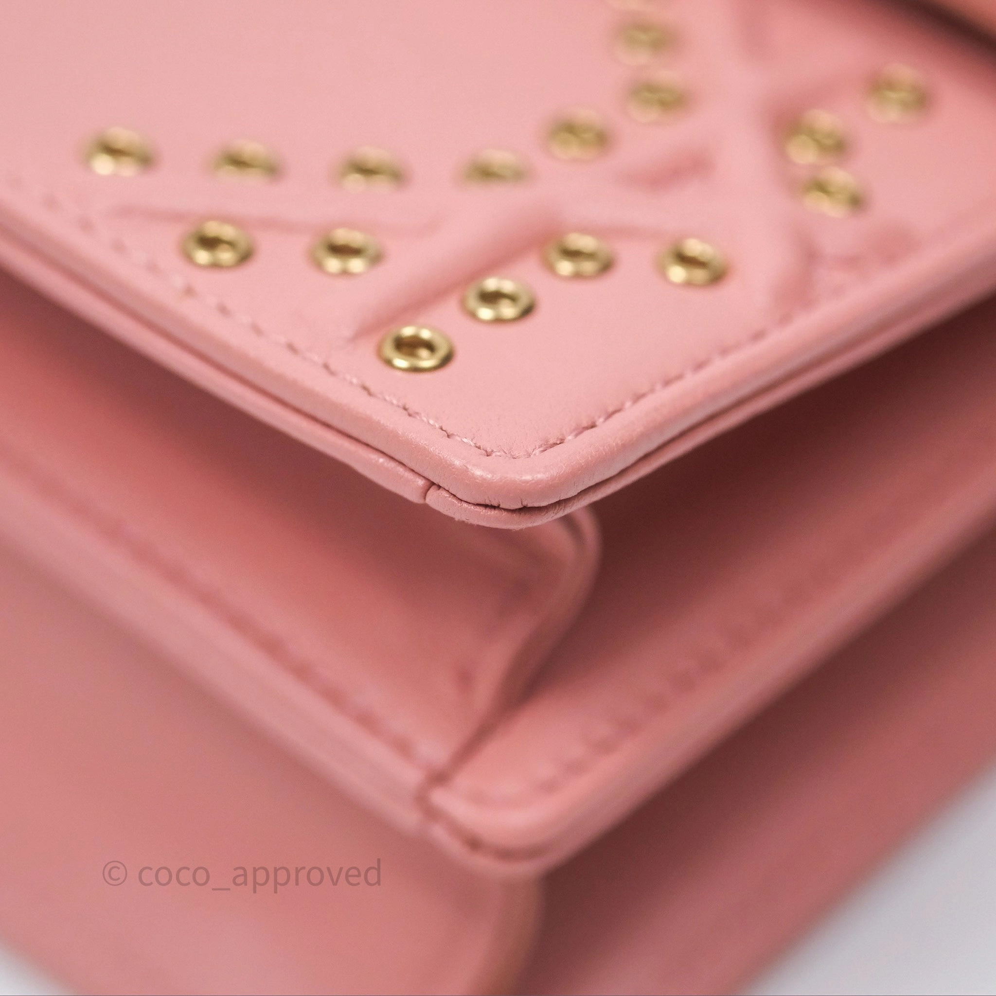 Christian Dior Lambskin Studded Vertical Diorama Dust Candy