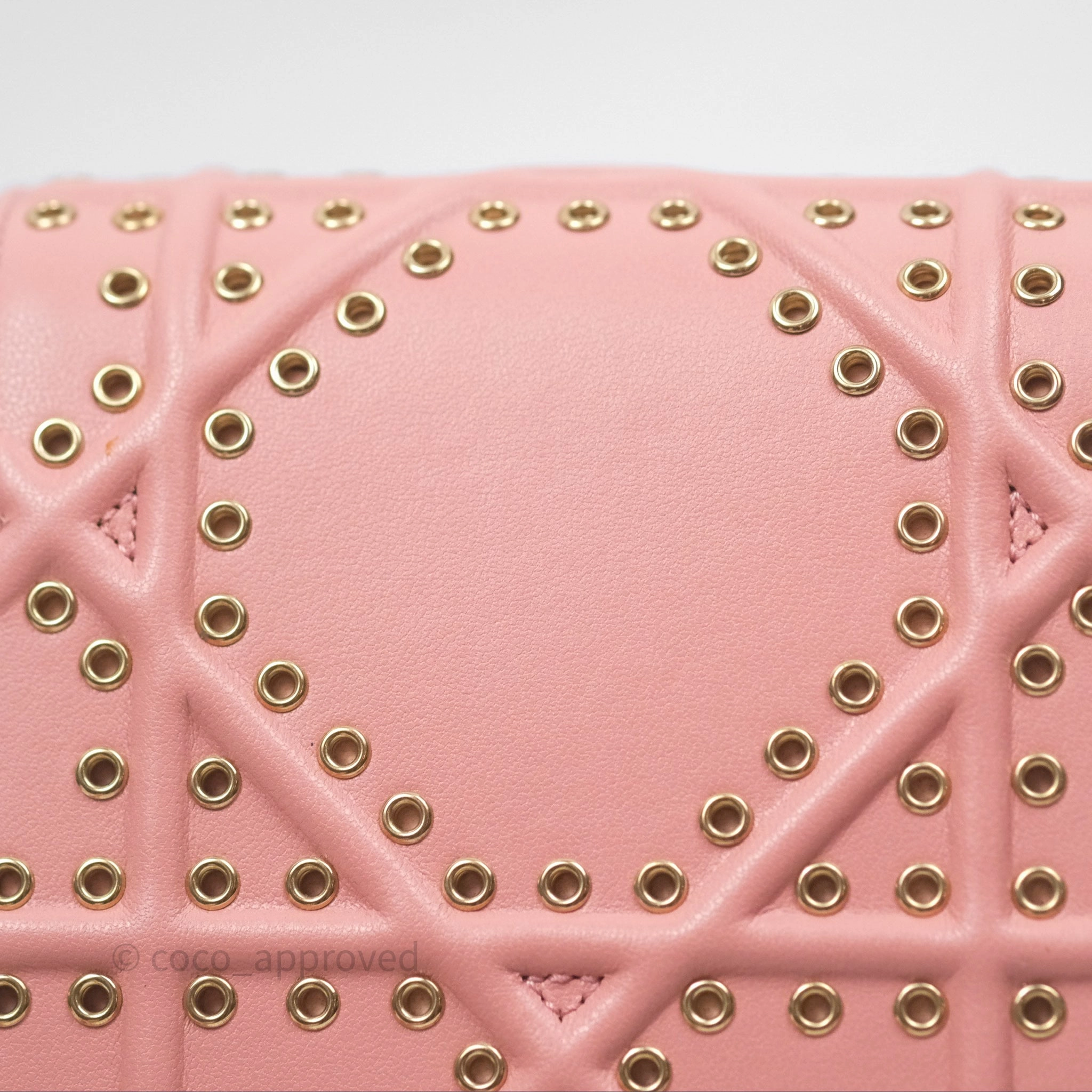 Christian Dior Lambskin Studded Vertical Diorama Dust Candy
