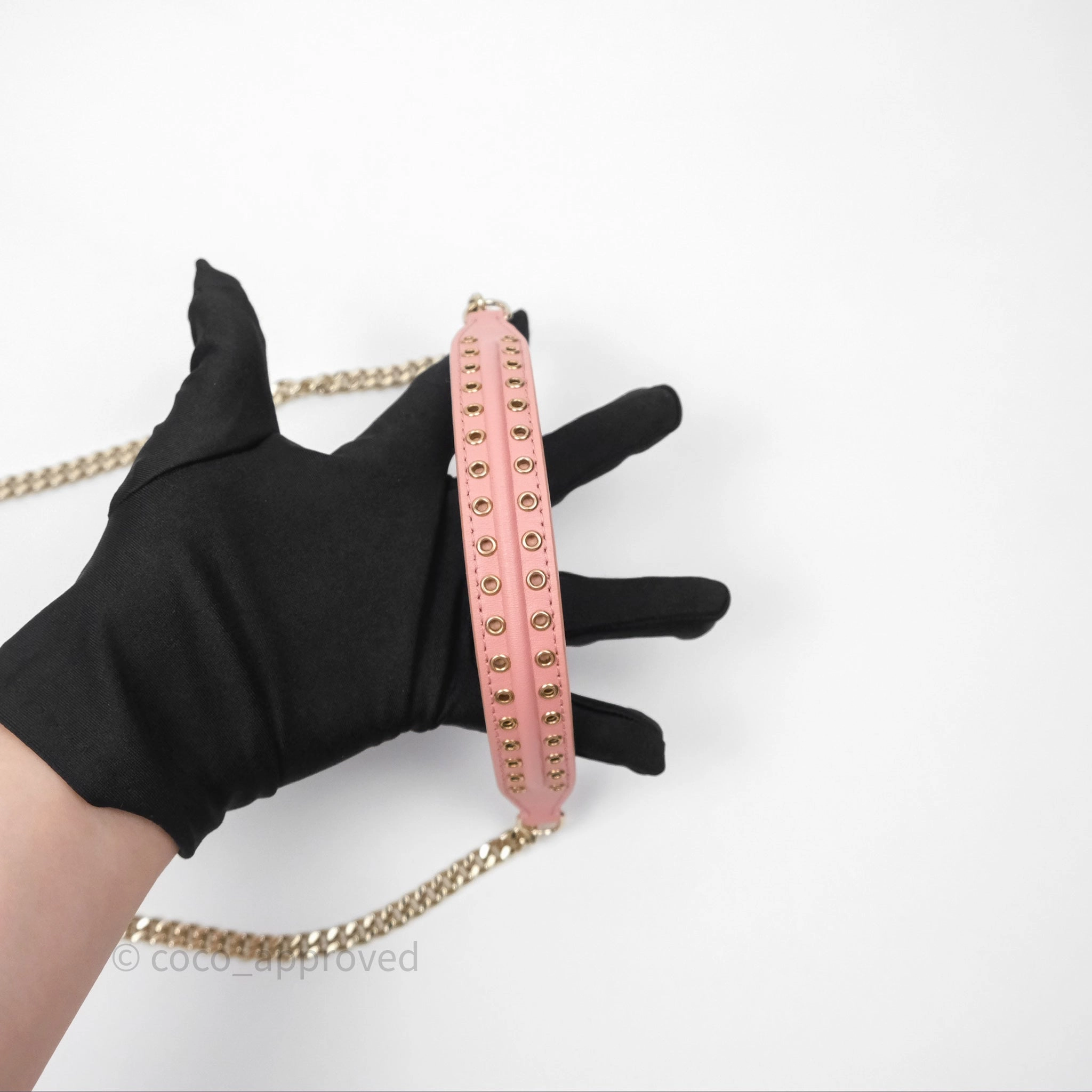 Christian Dior Lambskin Studded Vertical Diorama Dust Candy