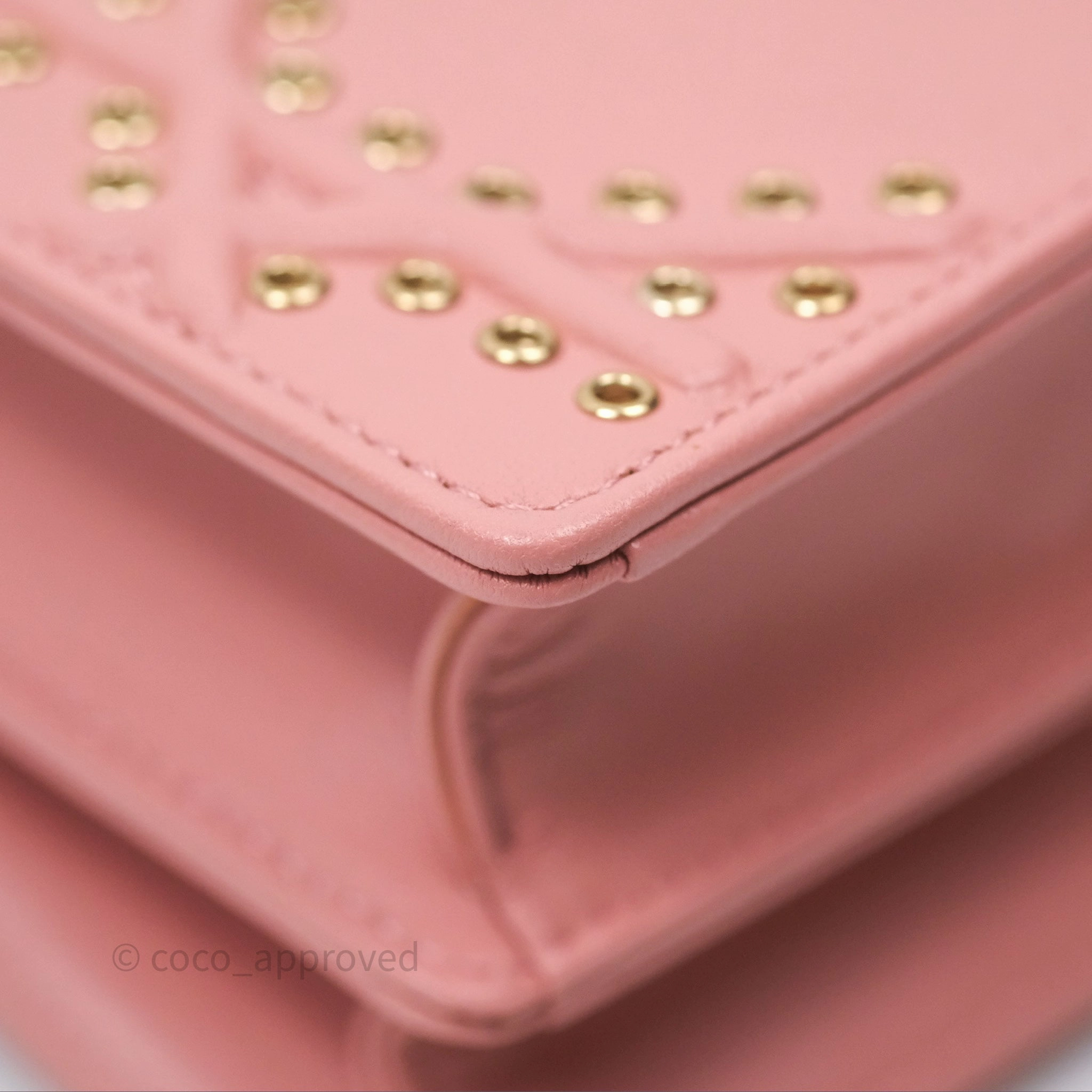 Christian Dior Lambskin Studded Vertical Diorama Dust Candy