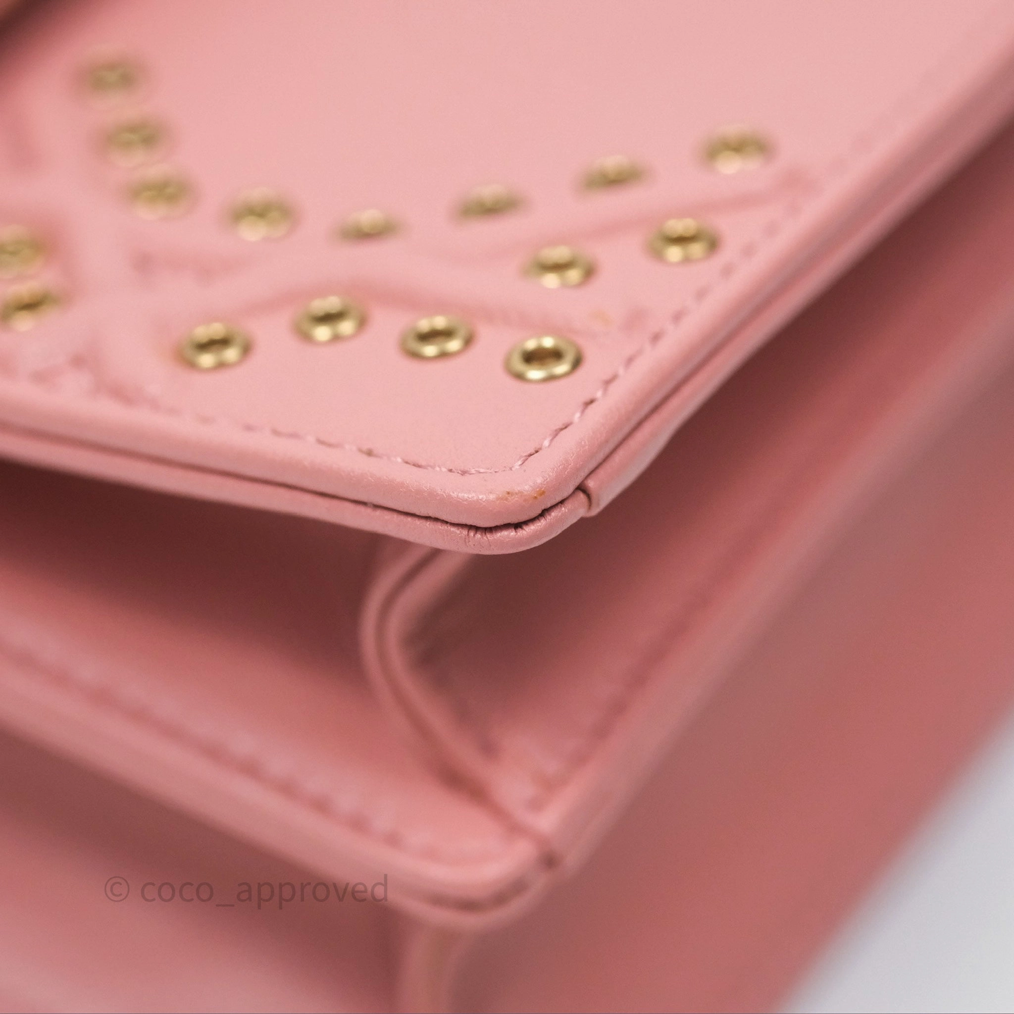 Christian Dior Lambskin Studded Vertical Diorama Dust Candy