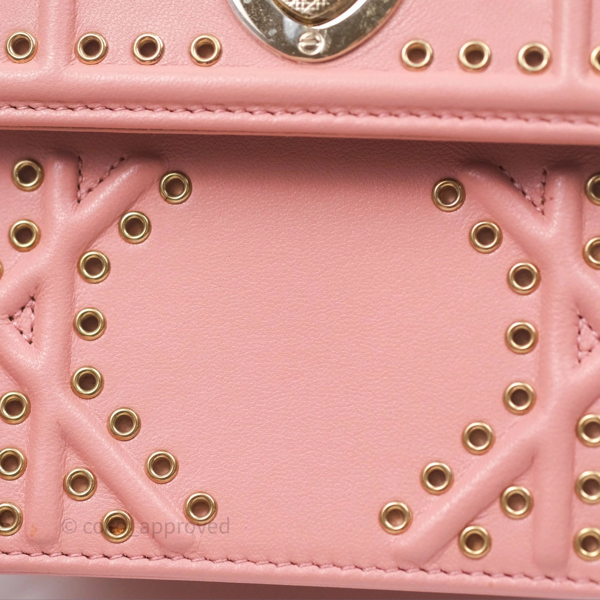 Christian Dior Lambskin Studded Vertical Diorama Dust Candy