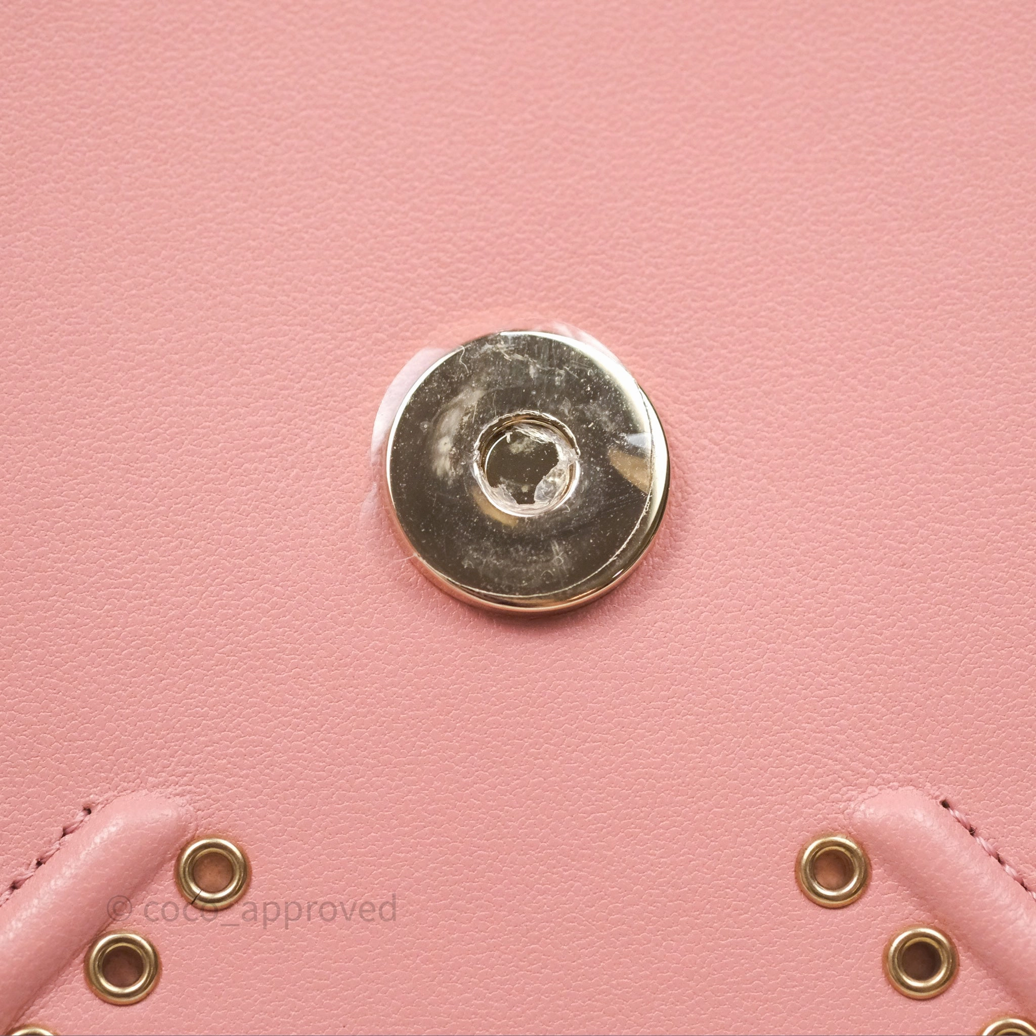 Christian Dior Lambskin Studded Vertical Diorama Dust Candy