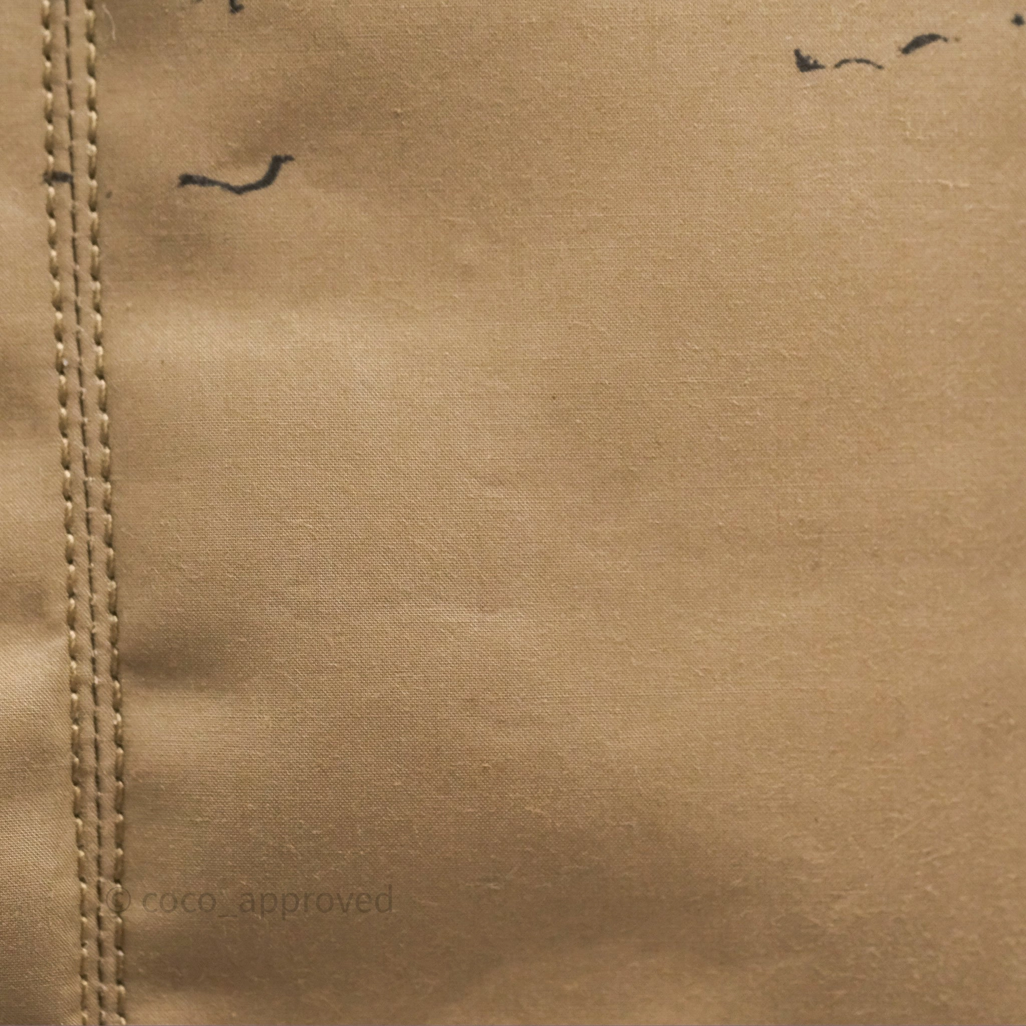 Christian Dior Large Toujours Bag Beige And Black Water-Repellent Fabric With Paris Print
