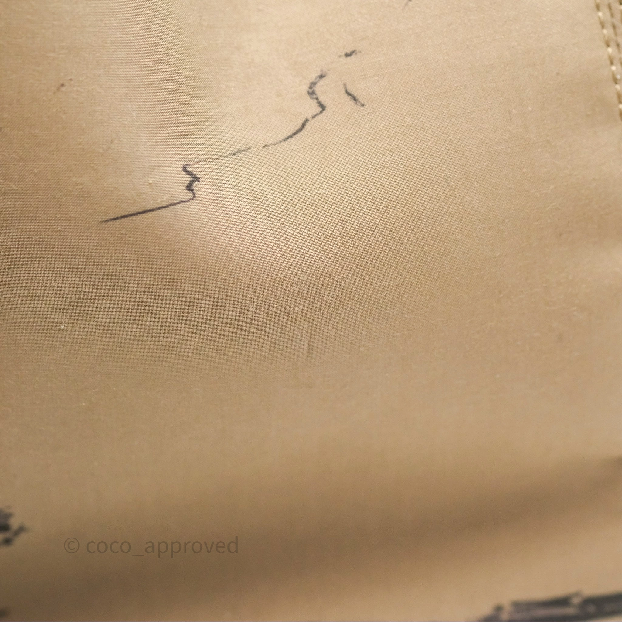 Christian Dior Large Toujours Bag Beige And Black Water-Repellent Fabric With Paris Print