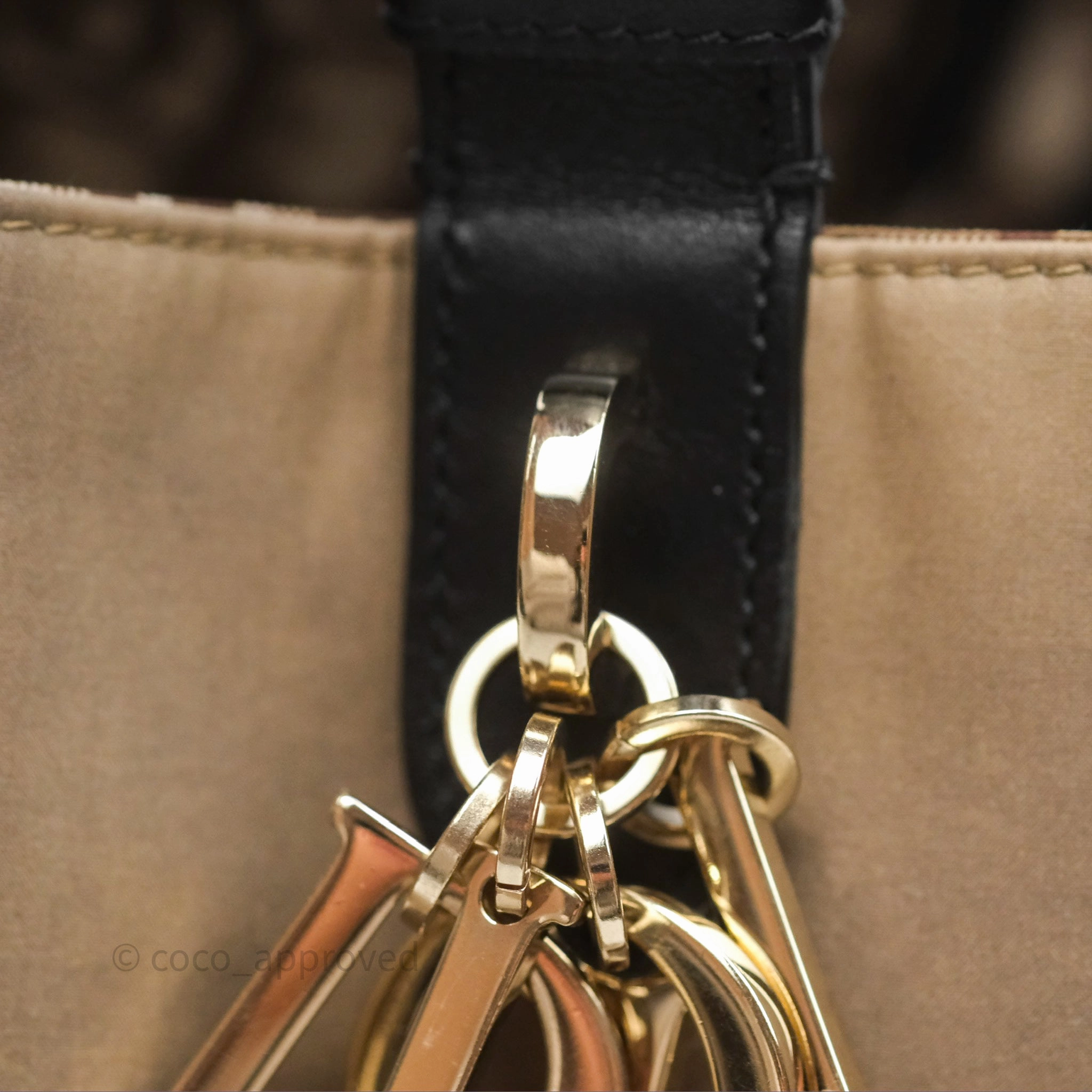 Christian Dior Large Toujours Bag Beige And Black Water-Repellent Fabric With Paris Print