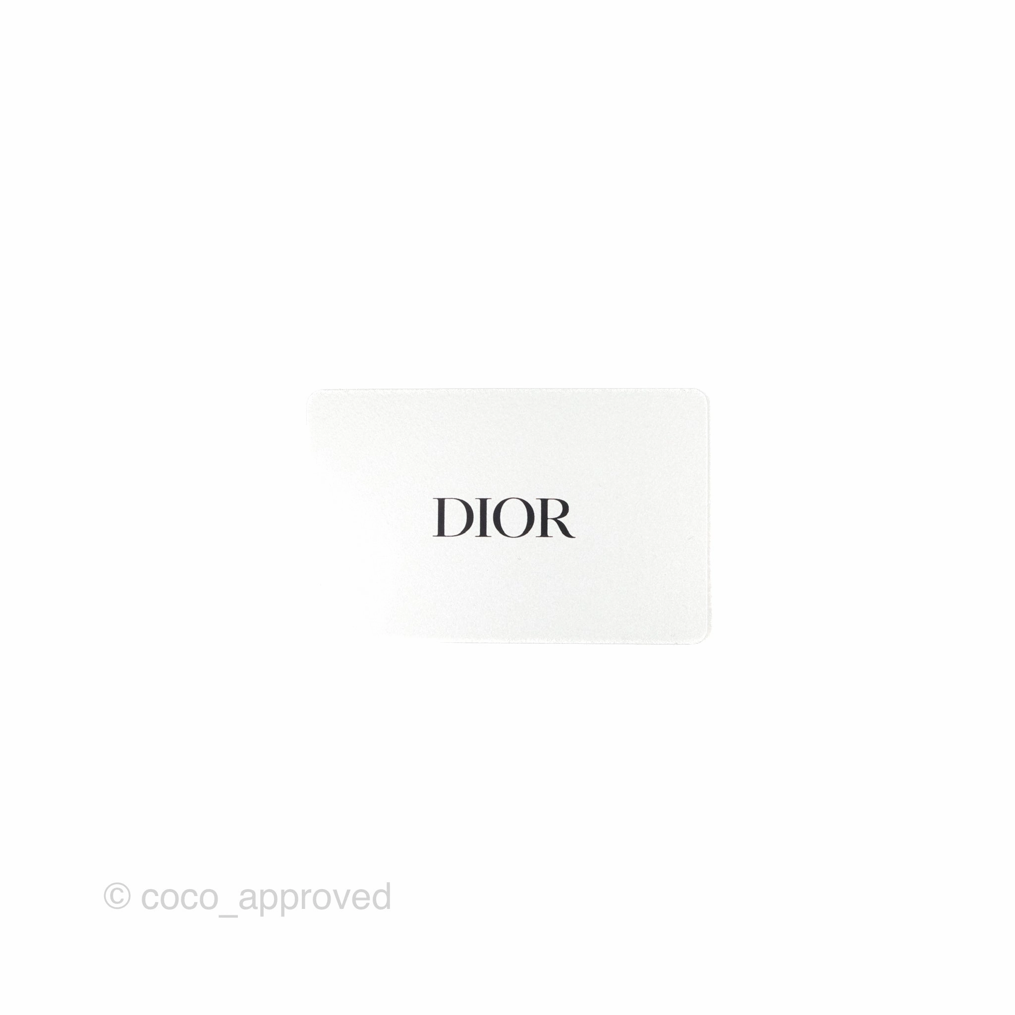 Christian Dior Large Zodiac Book Tote Bag