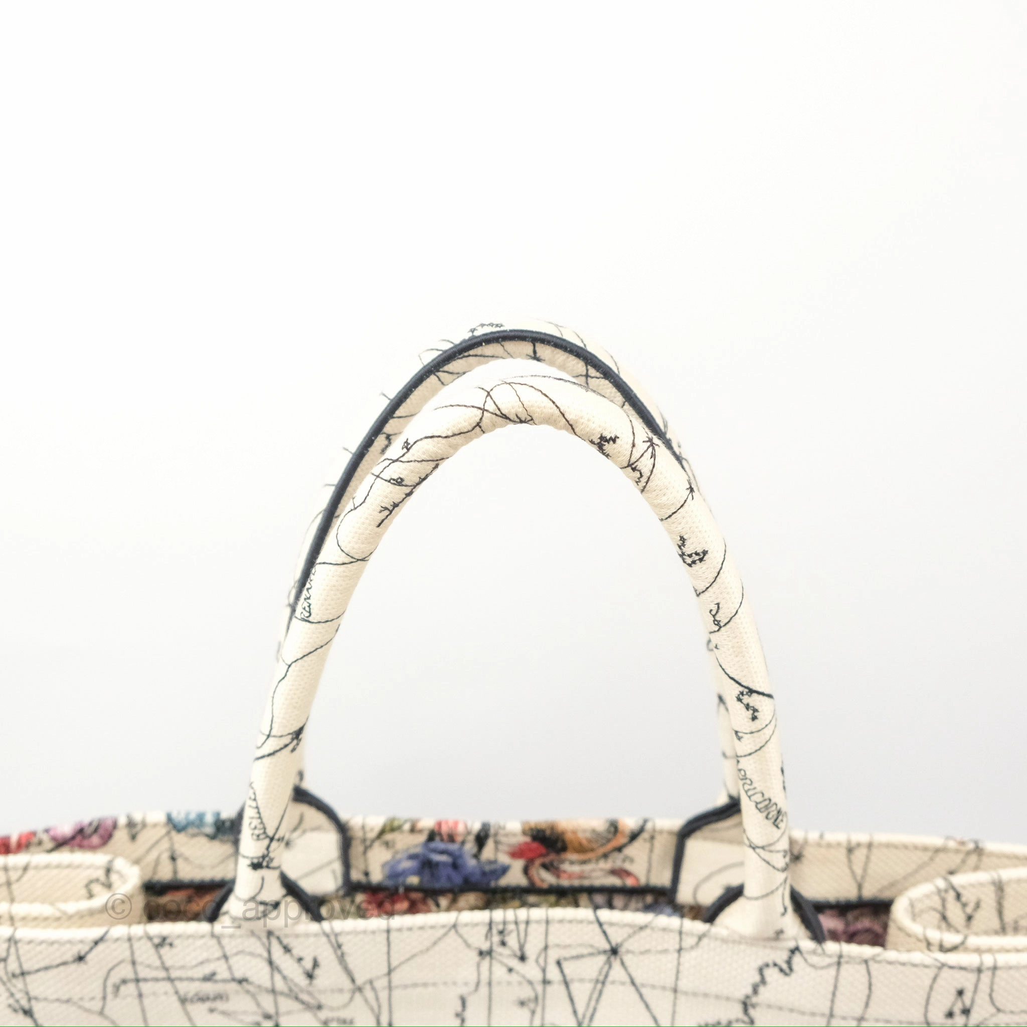Christian Dior Large Zodiac Book Tote Bag