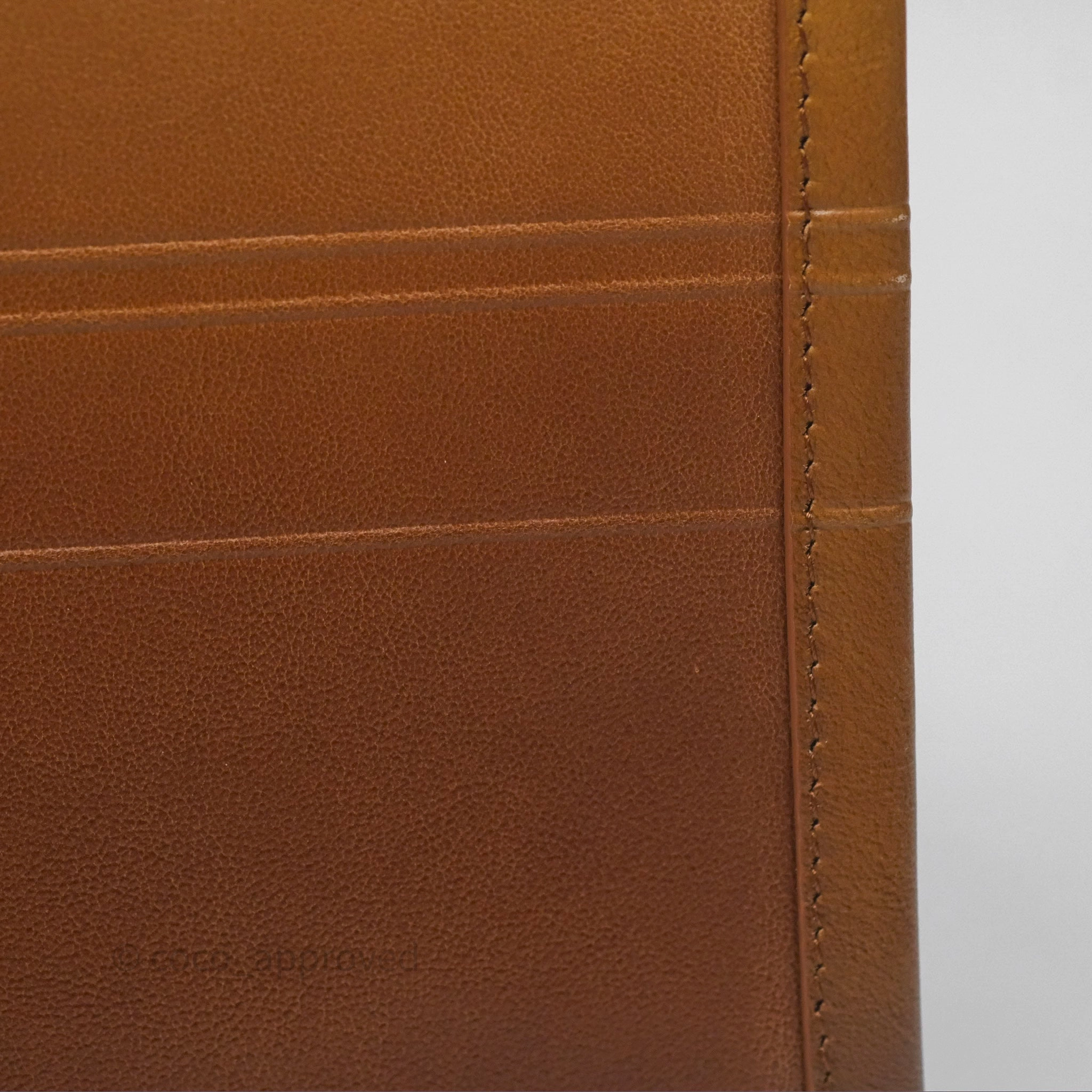Christian Dior Medium Book Tote Gradient Brown Calfskin