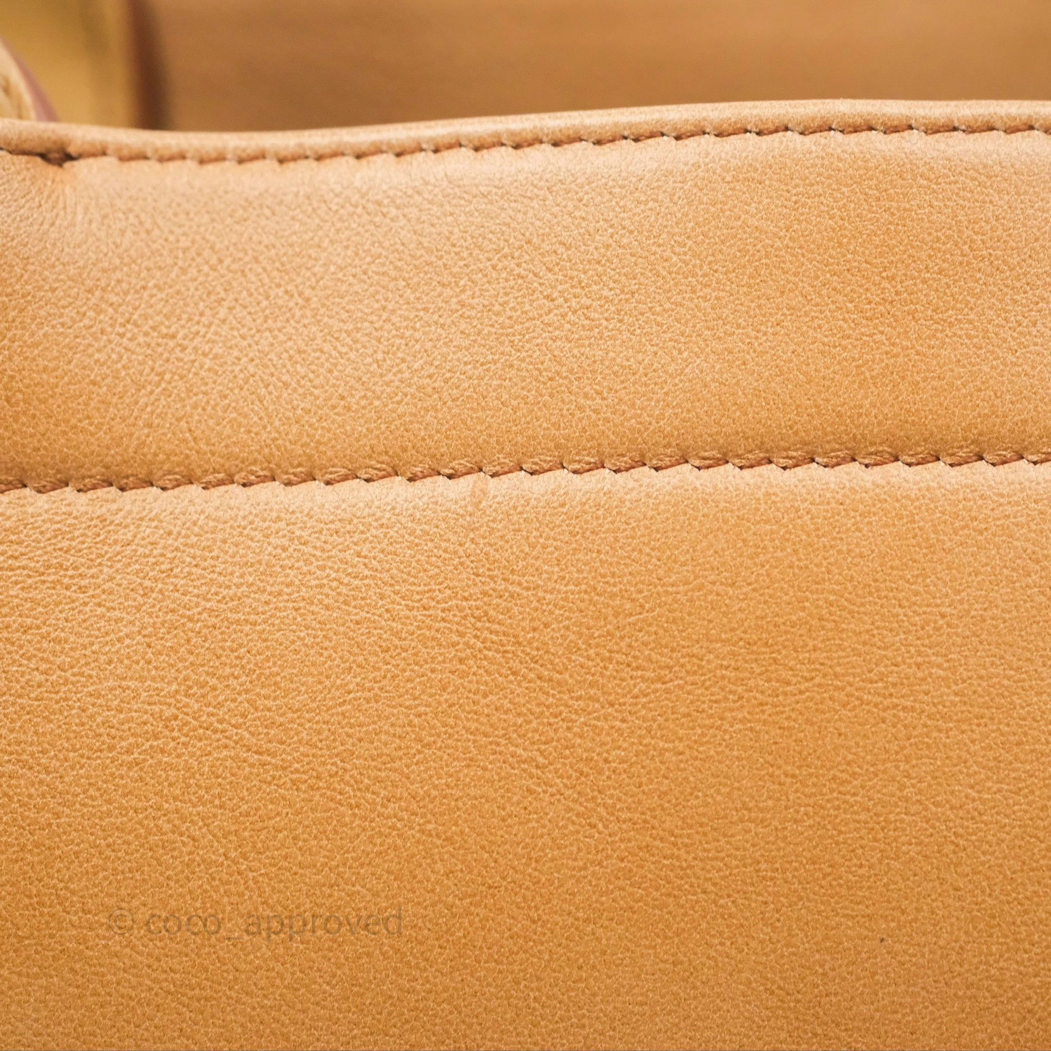 Christian Dior Medium Book Tote Gradient Brown Calfskin