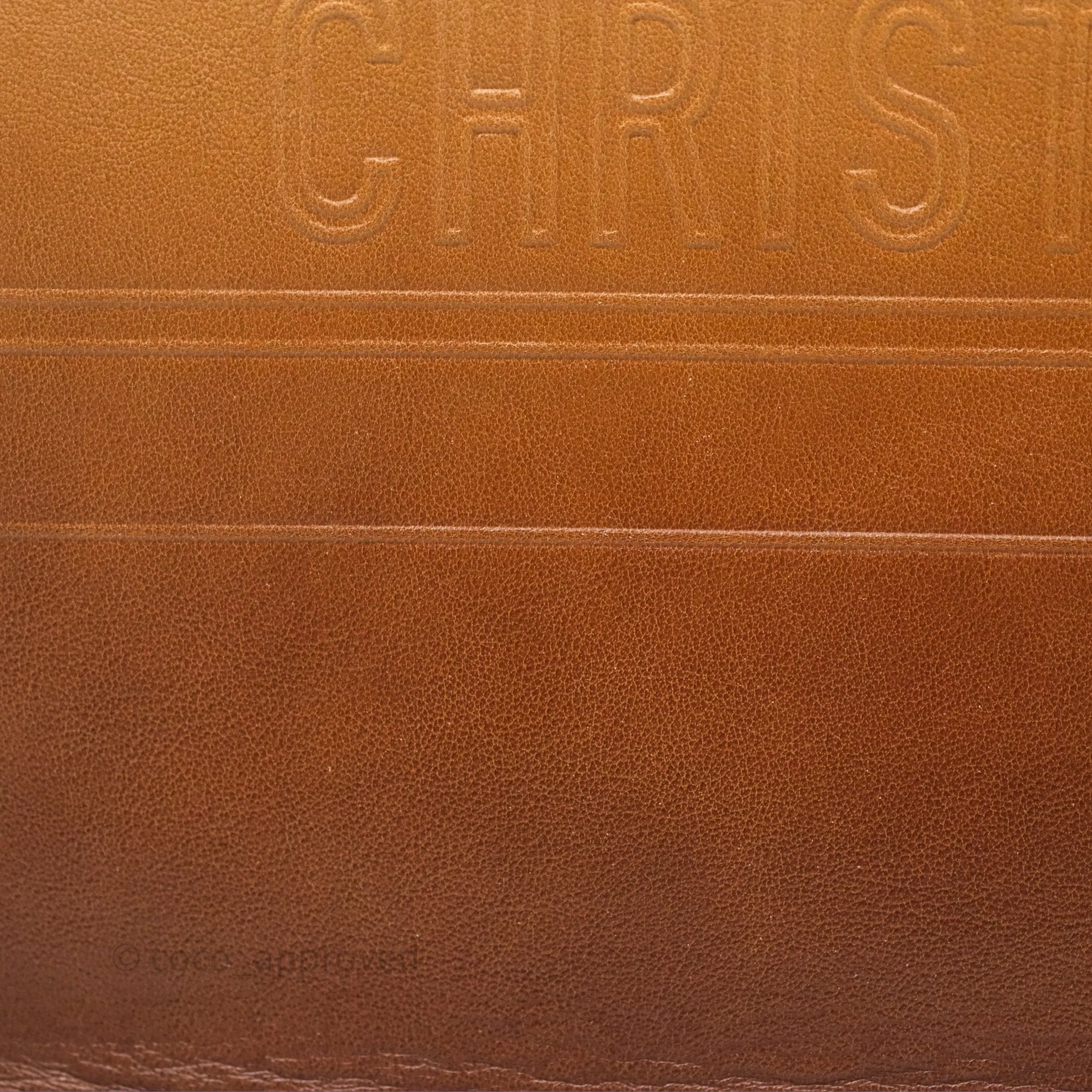 Christian Dior Medium Book Tote Gradient Brown Calfskin