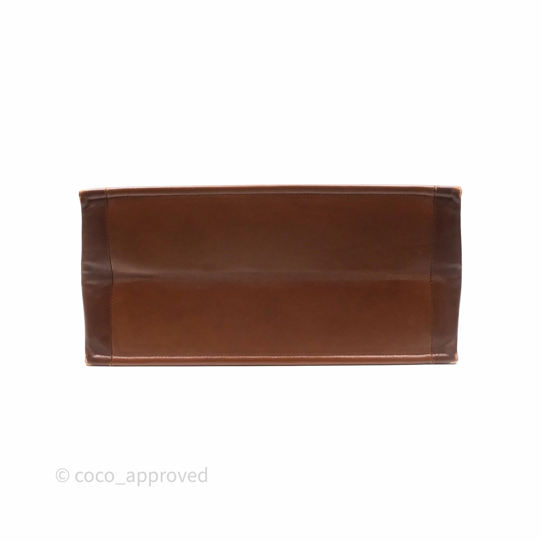 Christian Dior Medium Book Tote Gradient Brown Calfskin