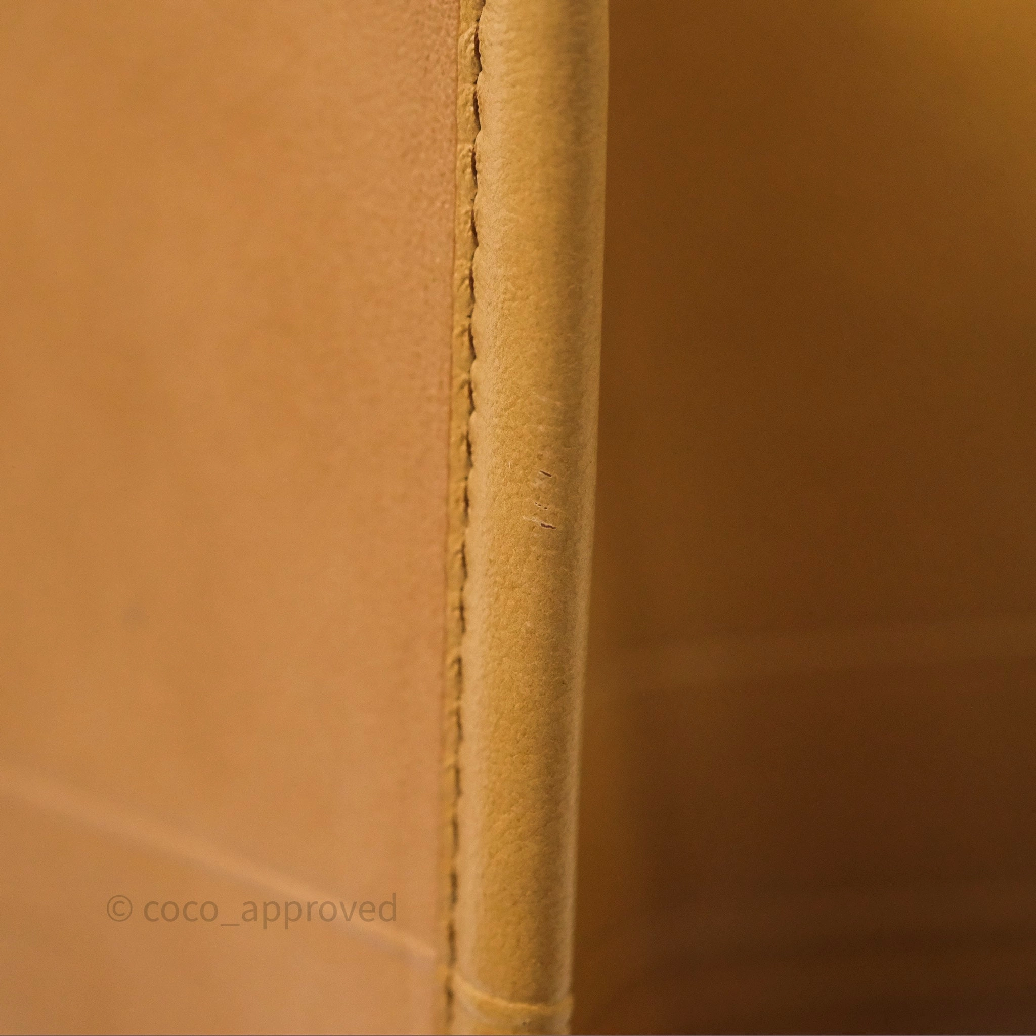 Christian Dior Medium Book Tote Gradient Brown Calfskin