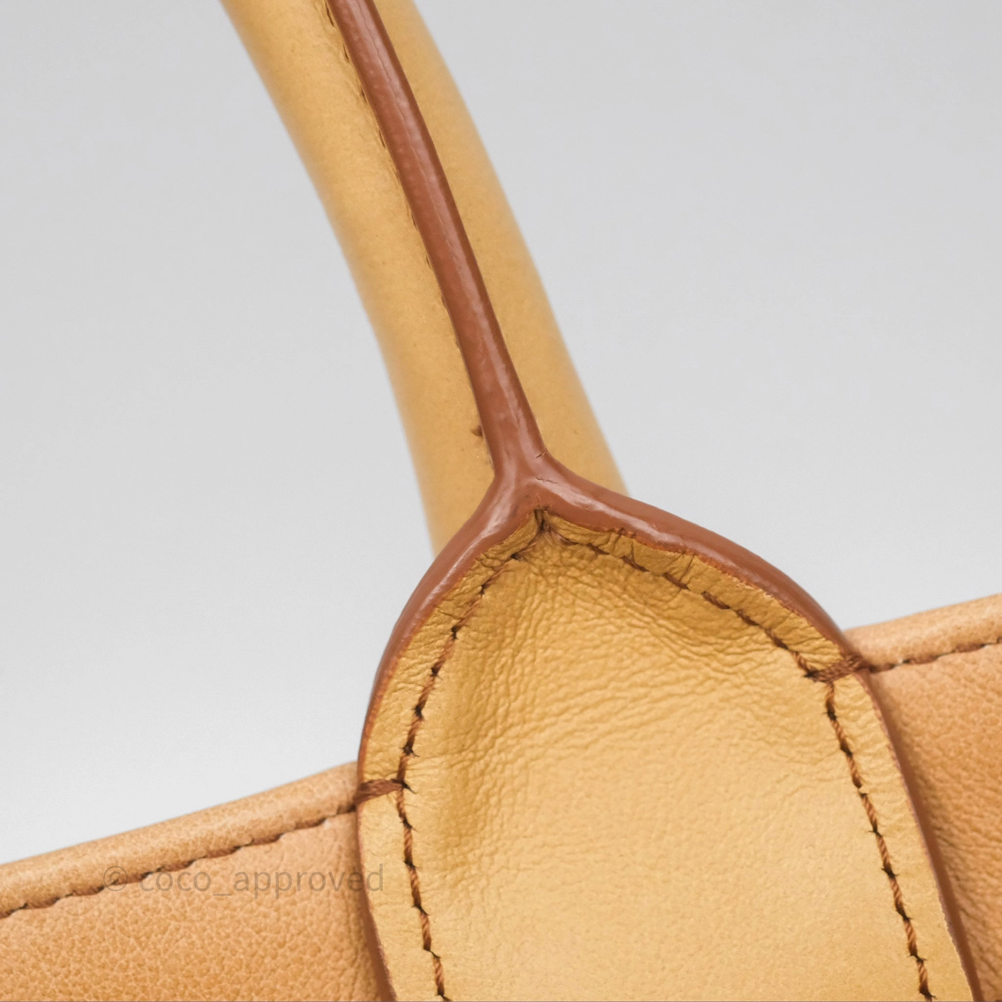 Christian Dior Medium Book Tote Gradient Brown Calfskin