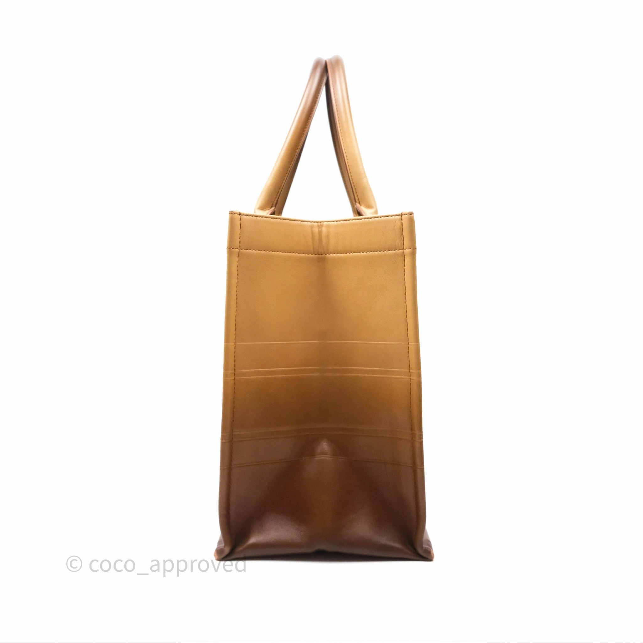 Christian Dior Medium Book Tote Gradient Brown Calfskin