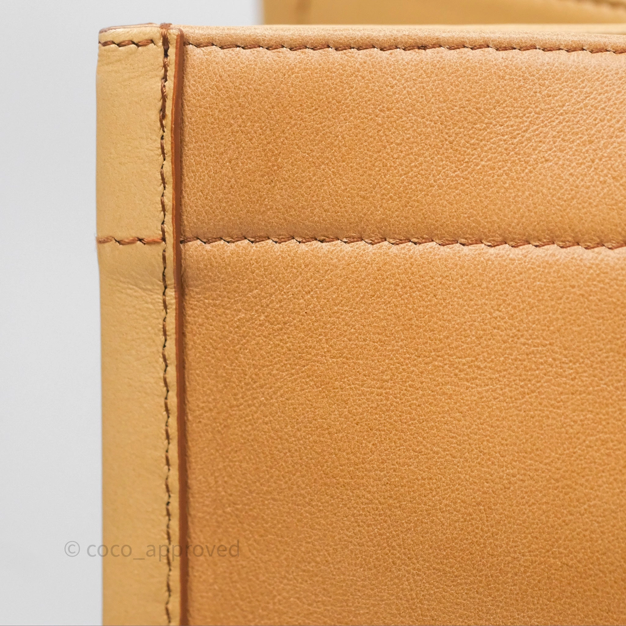 Christian Dior Medium Book Tote Gradient Brown Calfskin