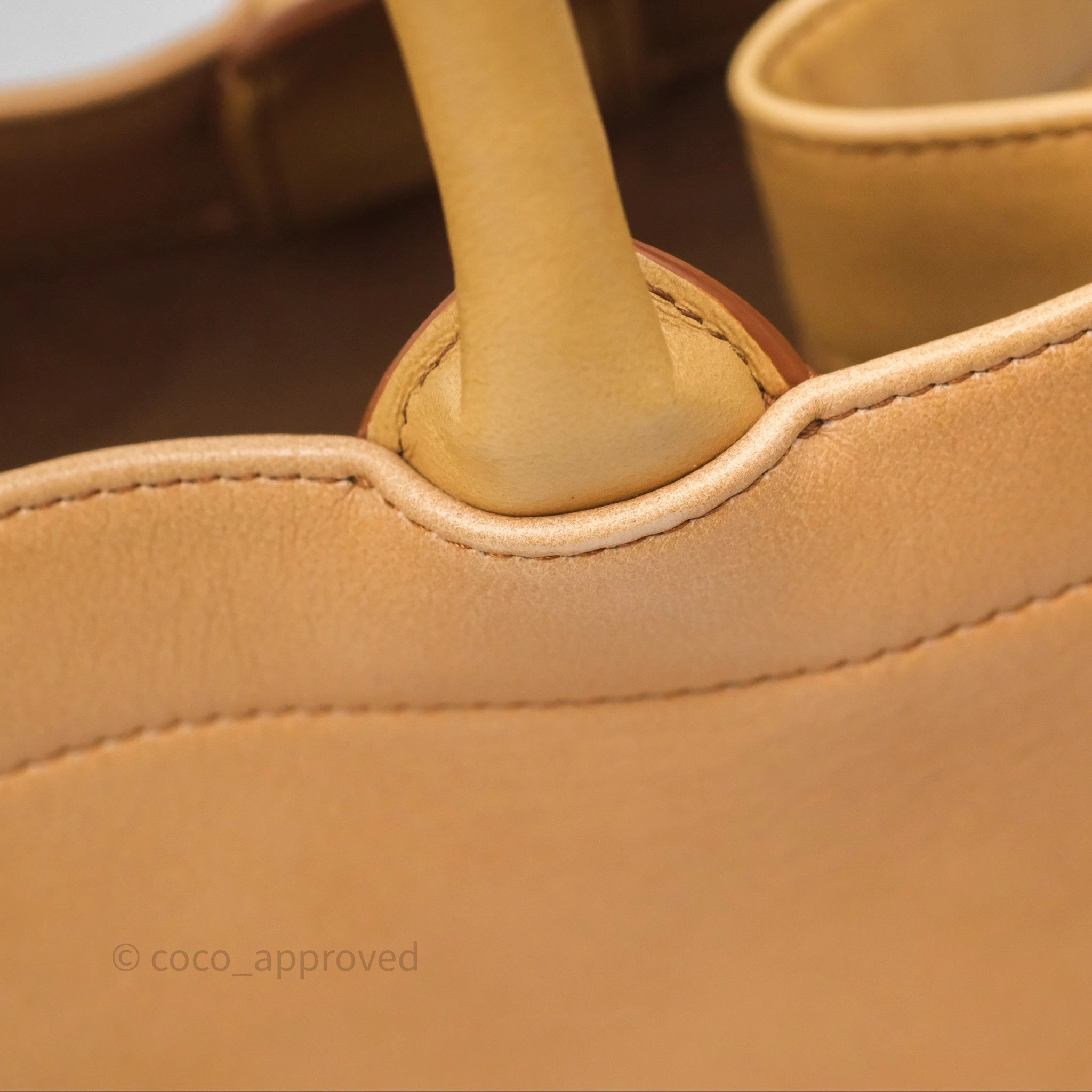Christian Dior Medium Book Tote Gradient Brown Calfskin