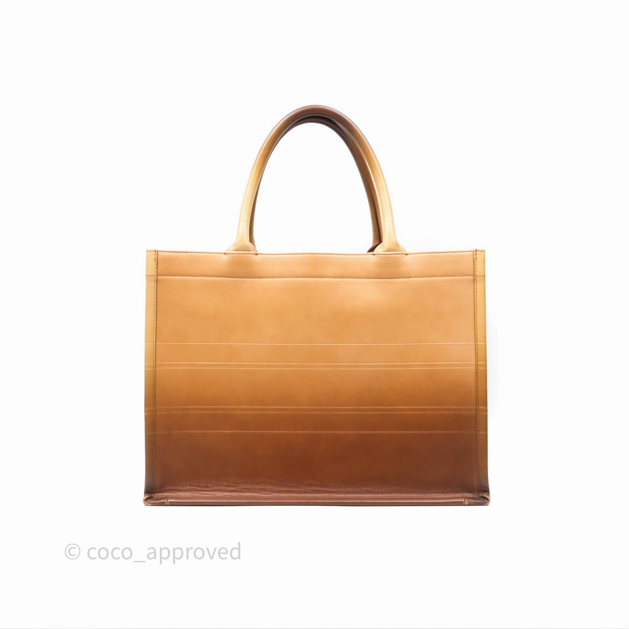 Christian Dior Medium Book Tote Gradient Brown Calfskin