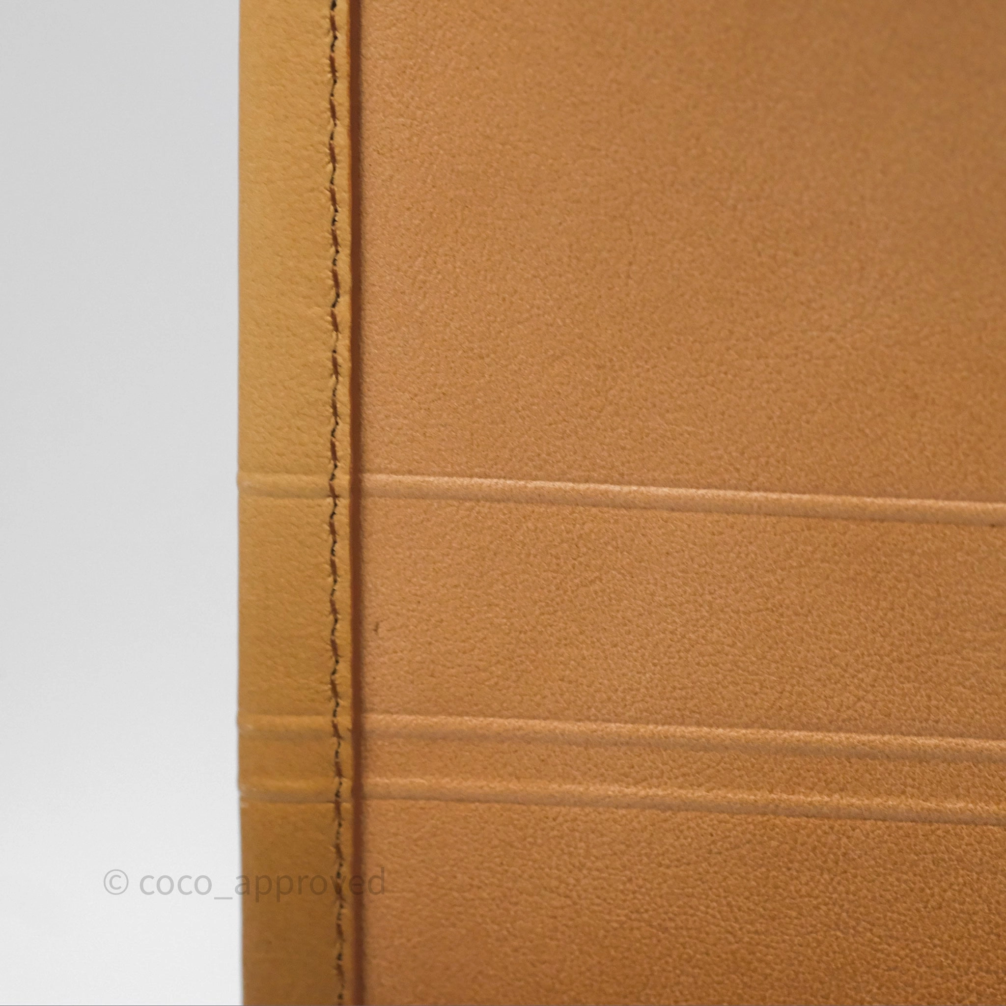 Christian Dior Medium Book Tote Gradient Brown Calfskin