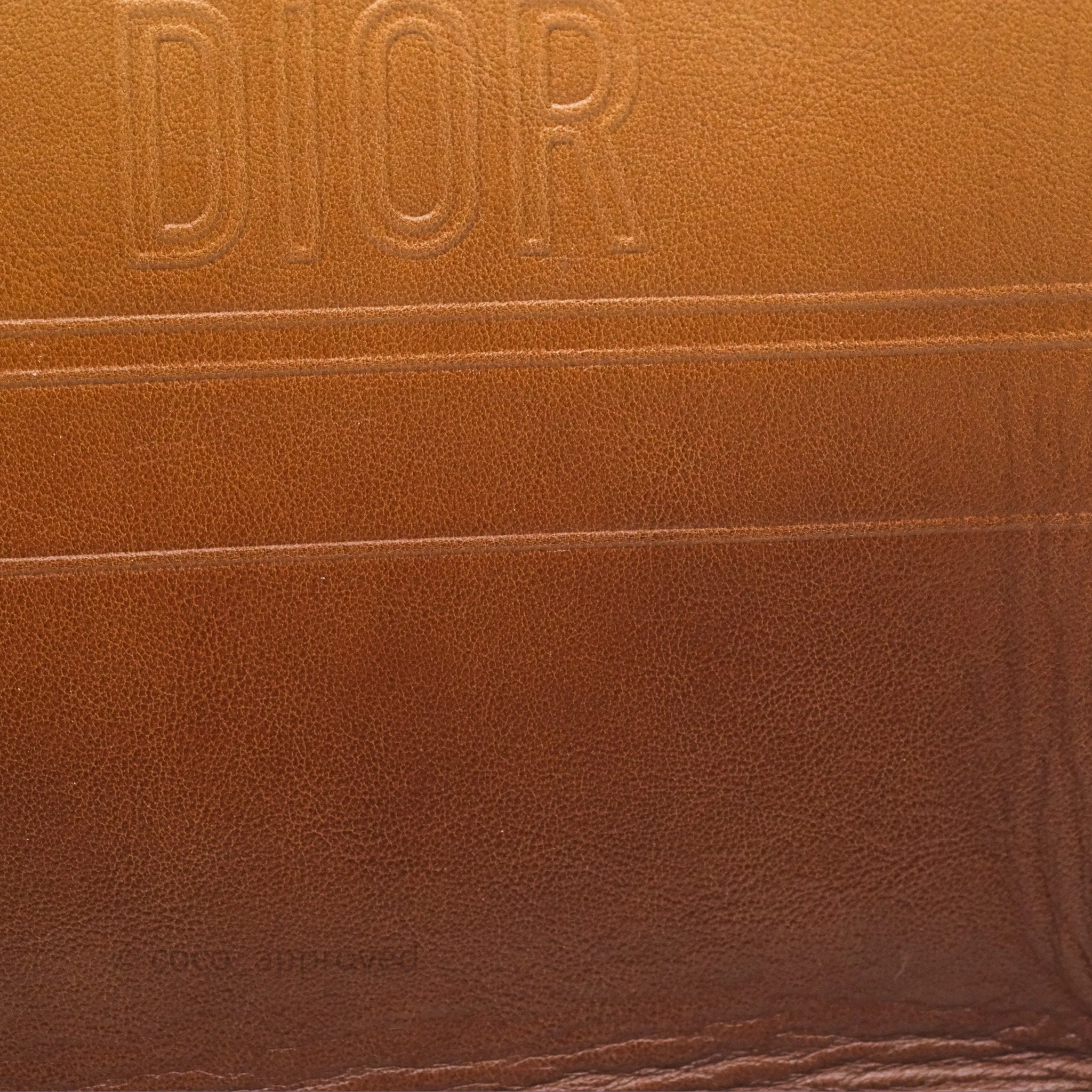 Christian Dior Medium Book Tote Gradient Brown Calfskin