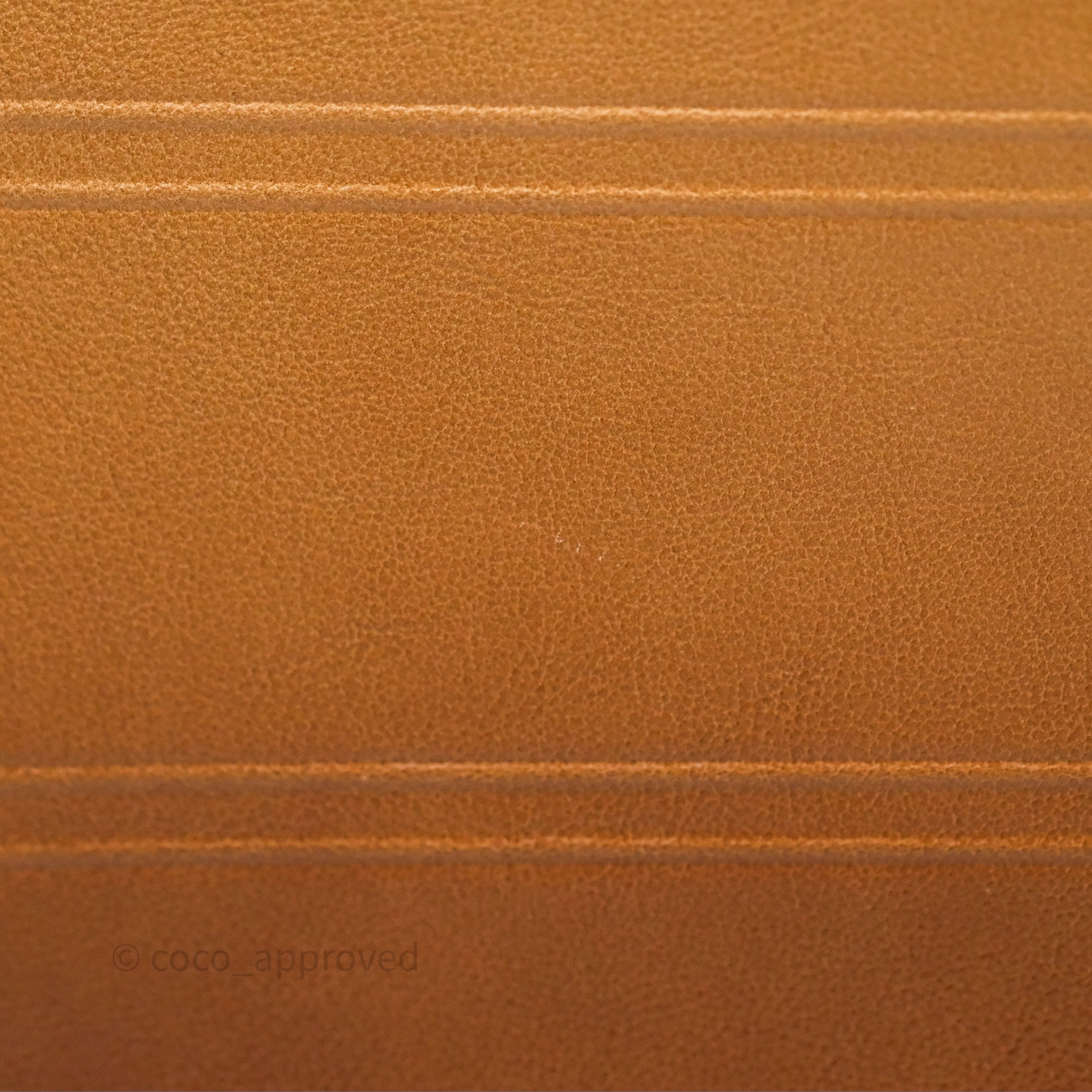 Christian Dior Medium Book Tote Gradient Brown Calfskin