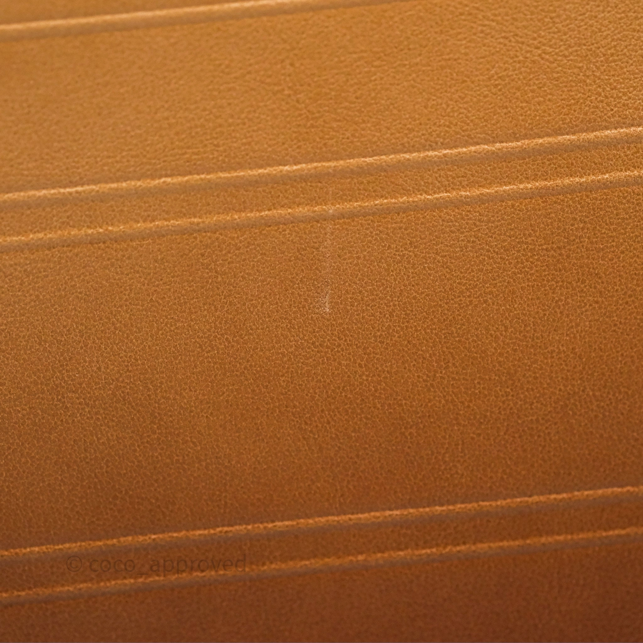 Christian Dior Medium Book Tote Gradient Brown Calfskin