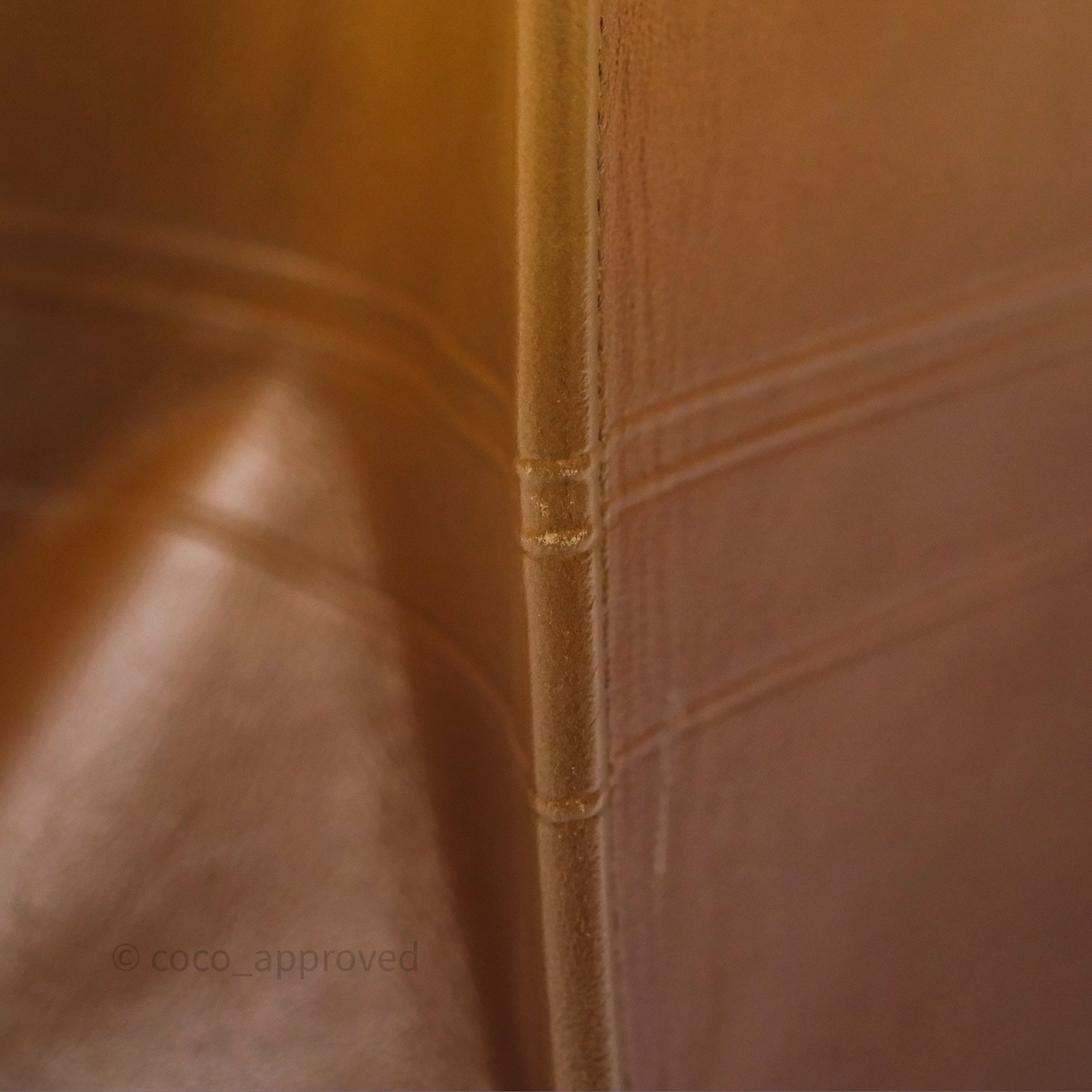 Christian Dior Medium Book Tote Gradient Brown Calfskin
