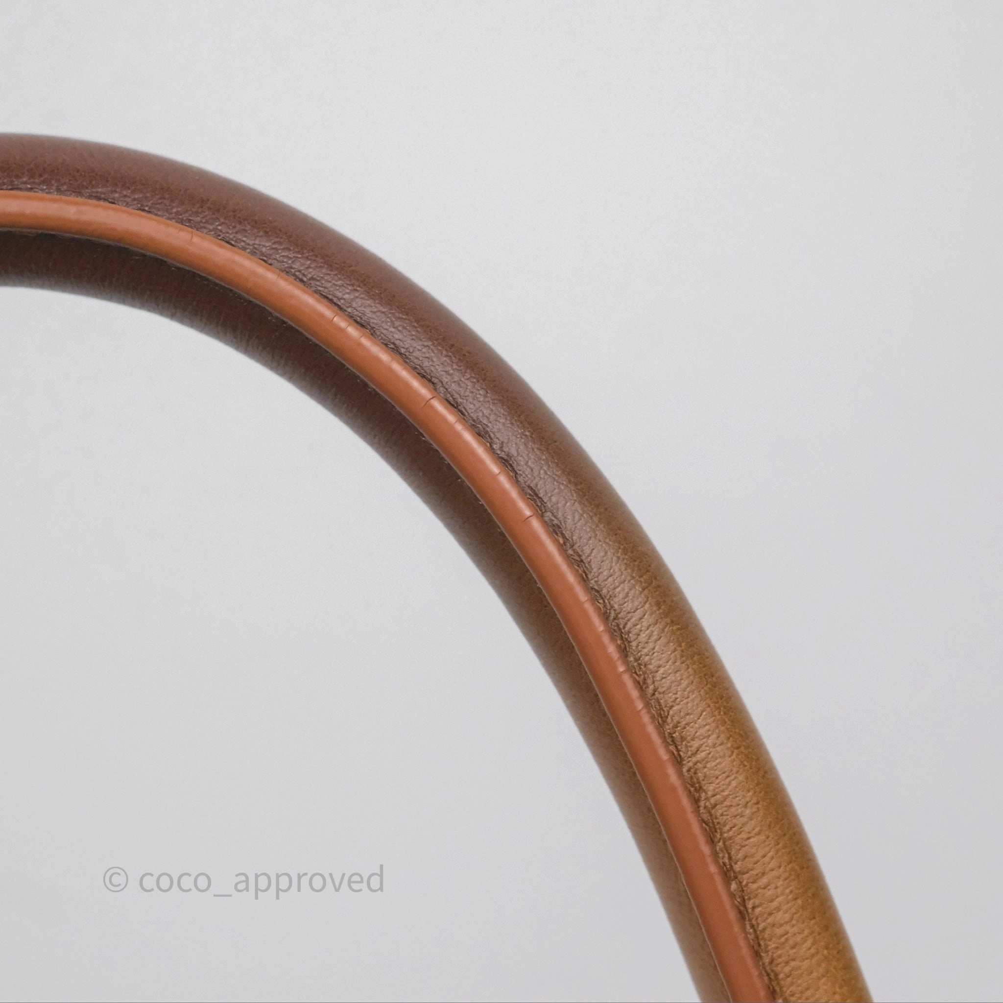Christian Dior Medium Book Tote Gradient Brown Calfskin
