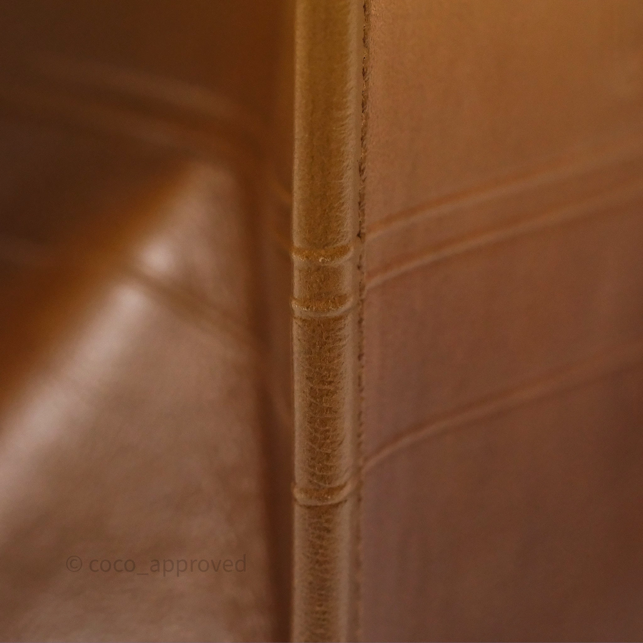 Christian Dior Medium Book Tote Gradient Brown Calfskin