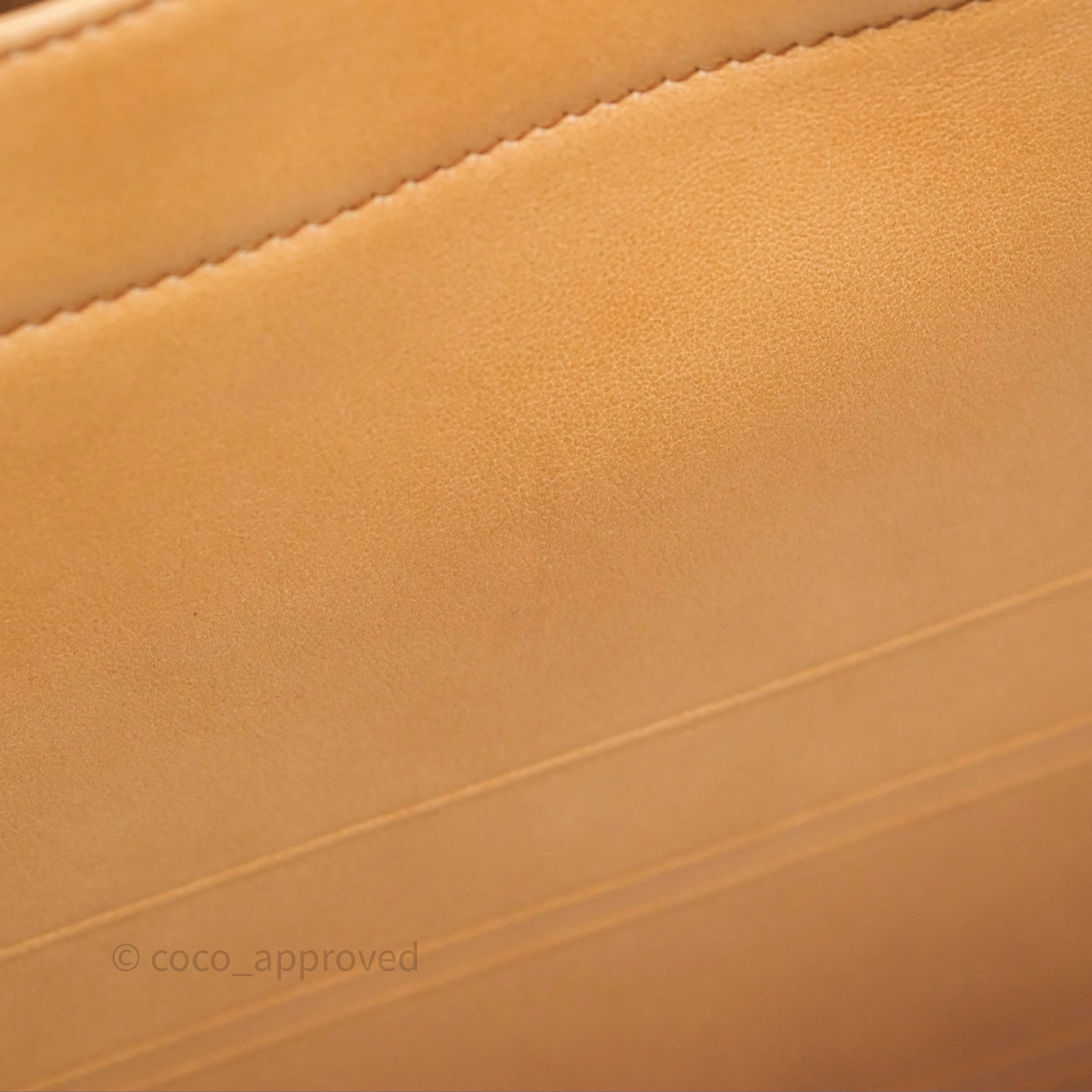 Christian Dior Medium Book Tote Gradient Brown Calfskin