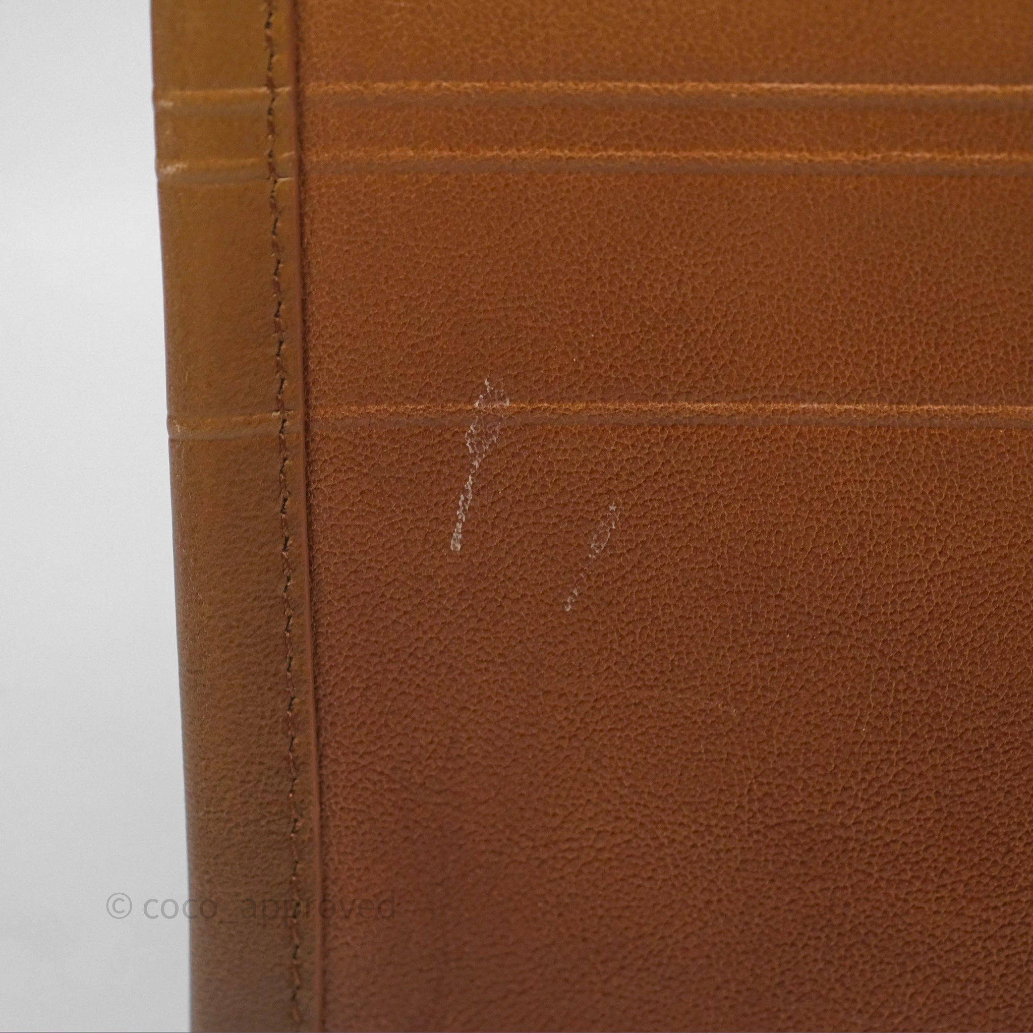Christian Dior Medium Book Tote Gradient Brown Calfskin