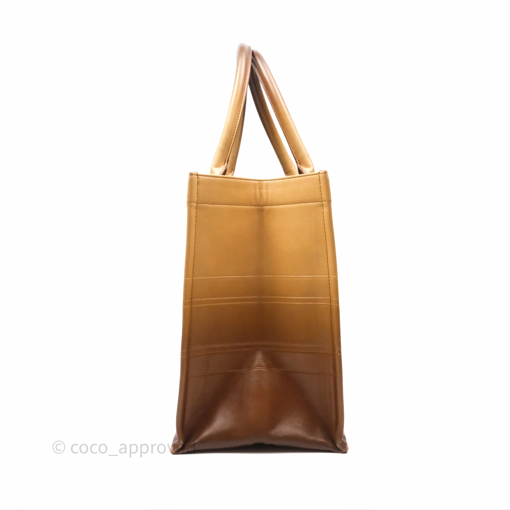 Christian Dior Medium Book Tote Gradient Brown Calfskin
