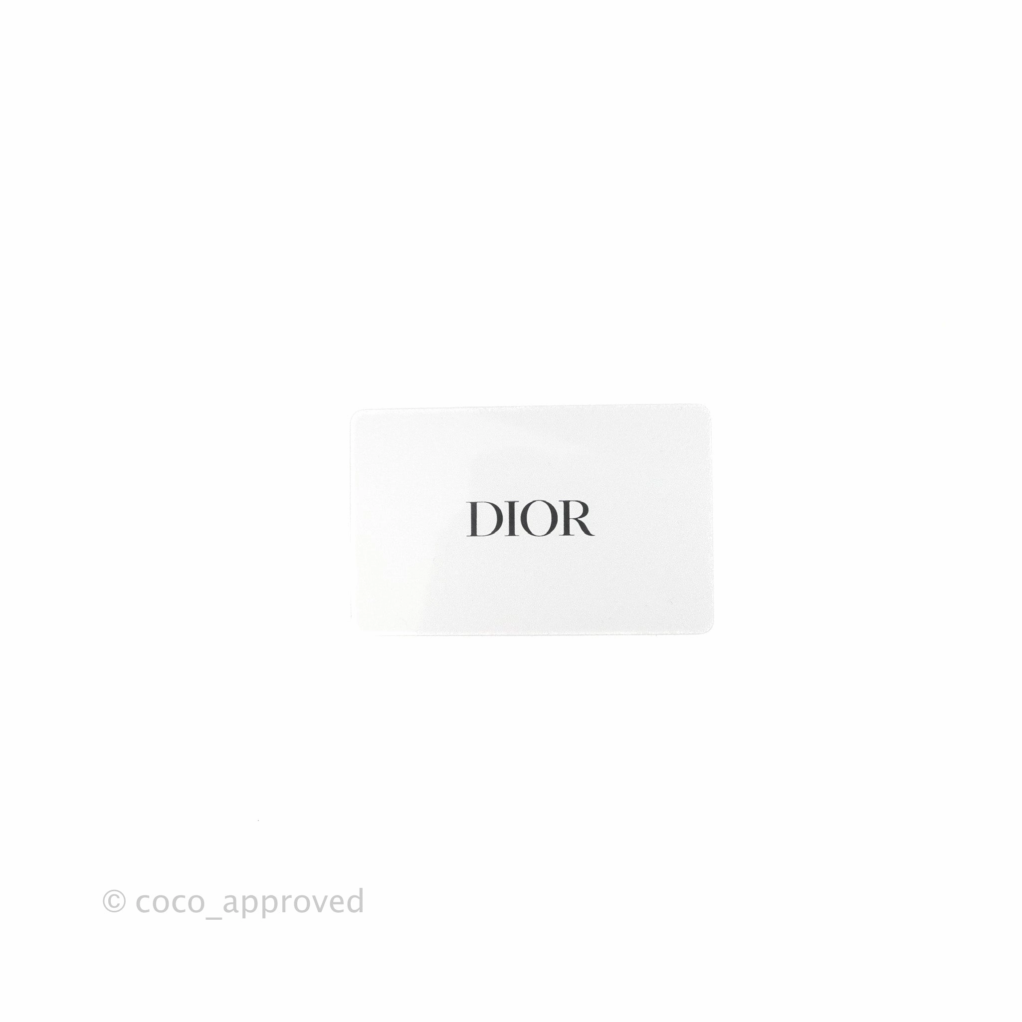 Christian Dior Medium Caro Bag Latte Matte Padded Macrocannage Calfskin