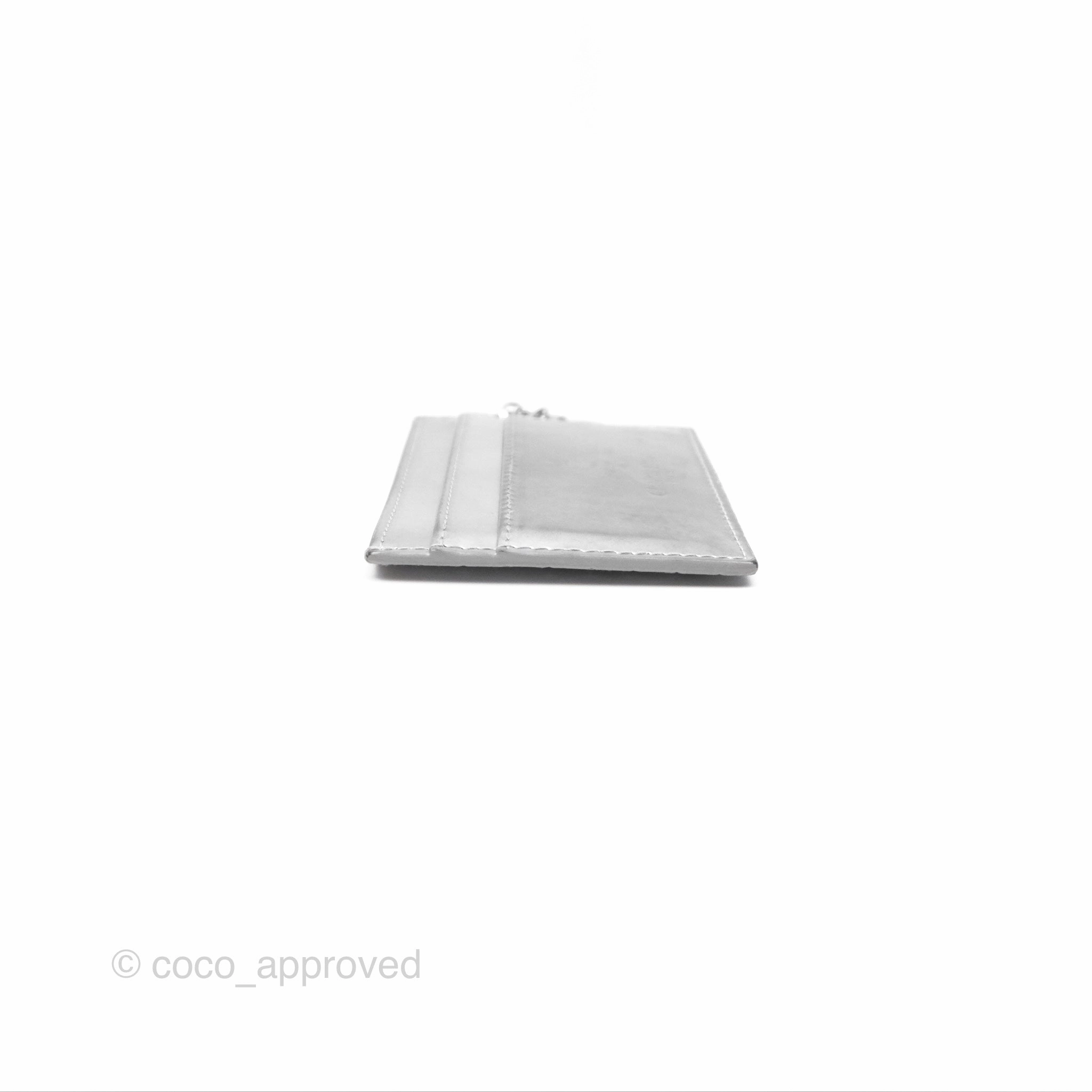 Christian Dior Metallic Sliver Card Holder Silver Hardware