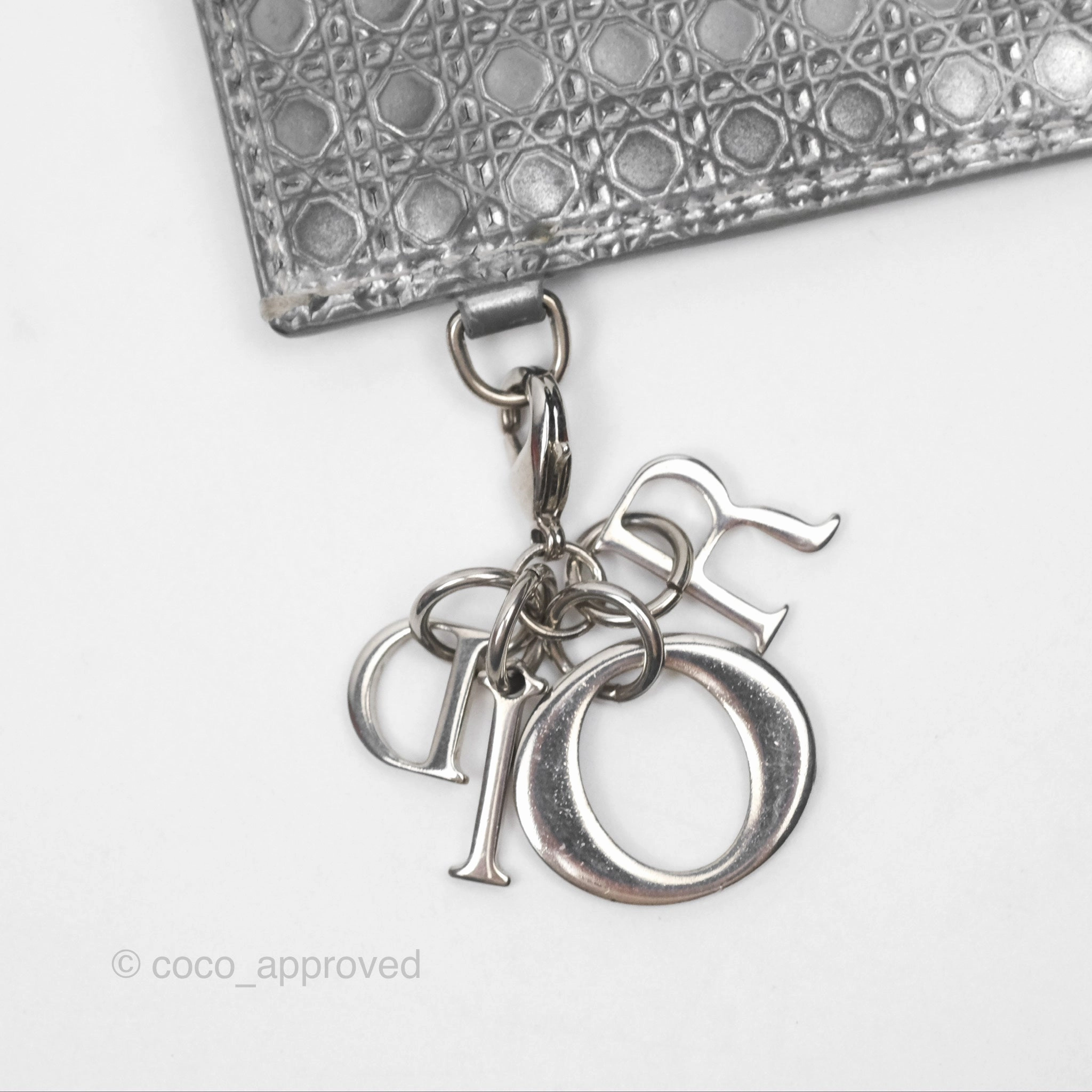 Christian Dior Metallic Sliver Card Holder Silver Hardware