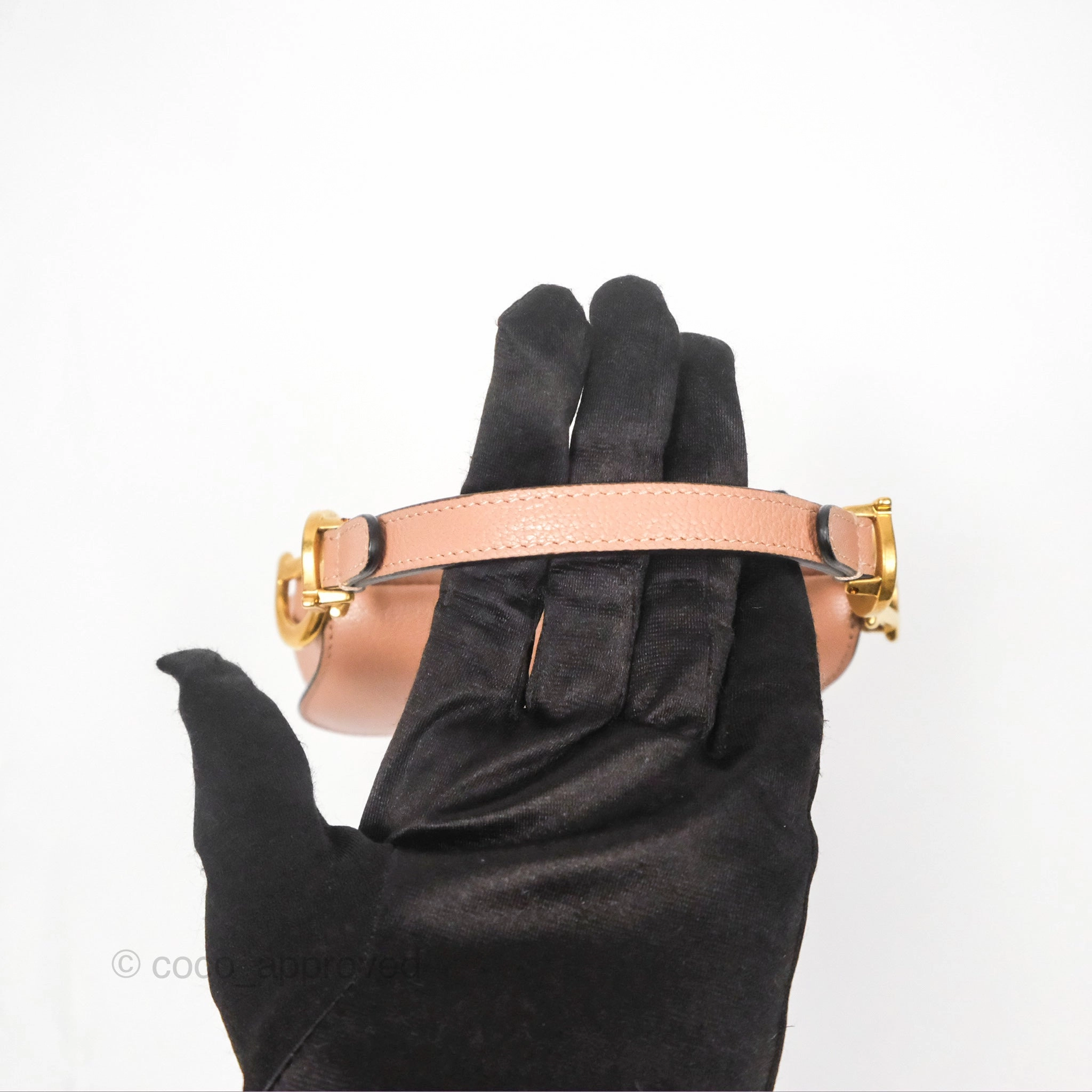 Christian Dior Micro Saddle Bag Rose des Vents Goatskin Gold Hardware